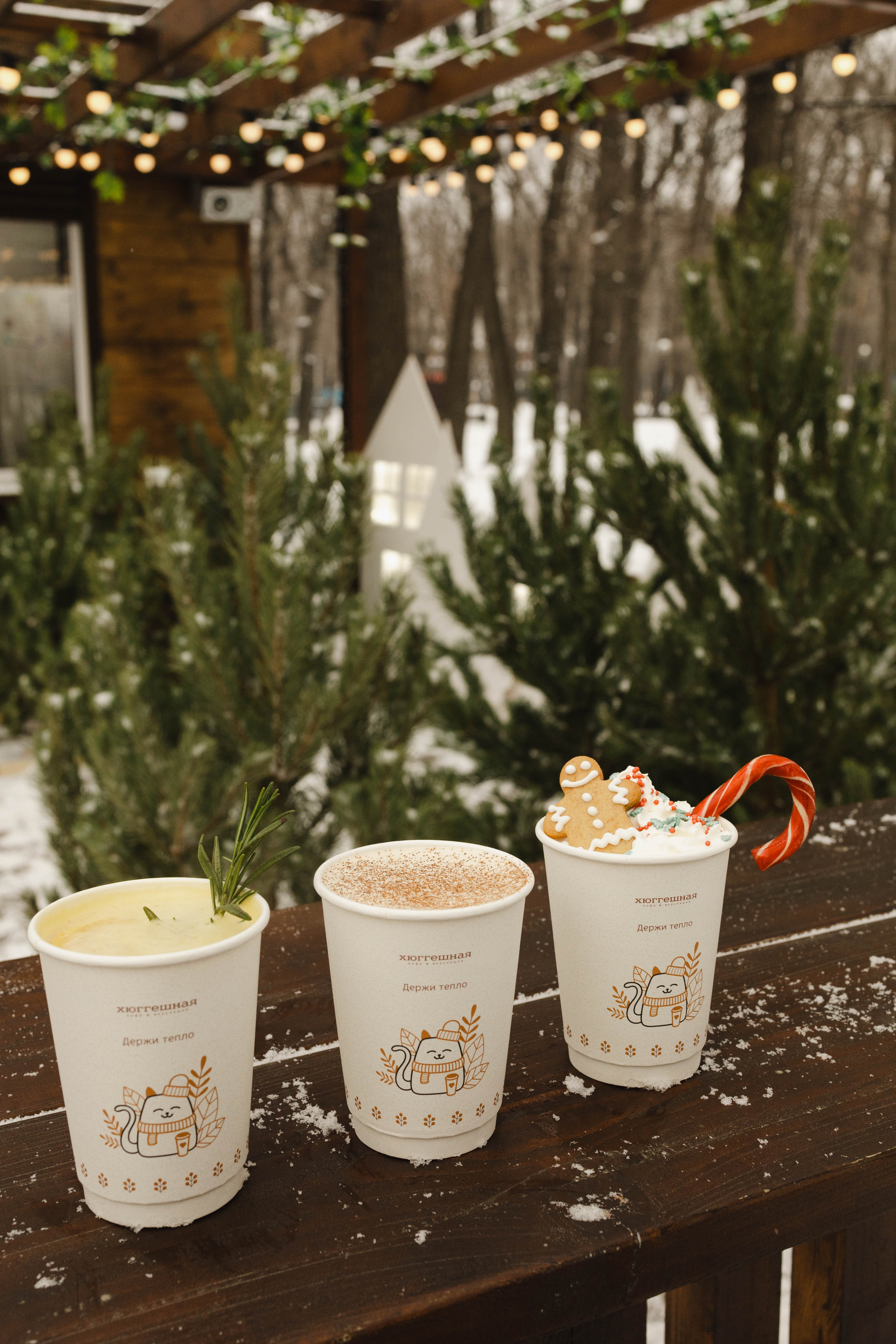 Зимняя Hyggeshnaya. Фотограф Ирина Гринько Тольятти Самара Москва