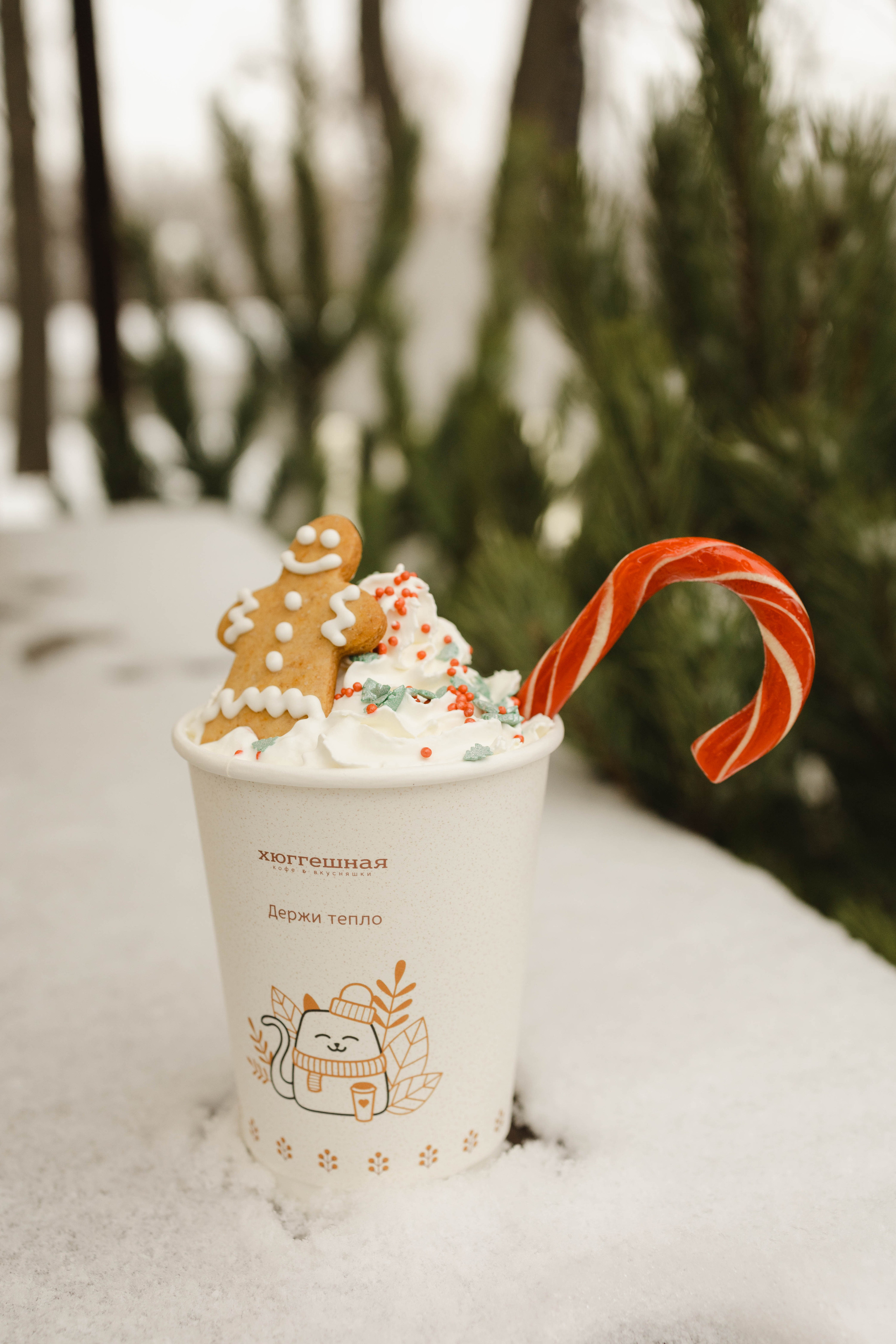 Зимняя Hyggeshnaya. Фотограф Ирина Гринько Тольятти Самара Москва