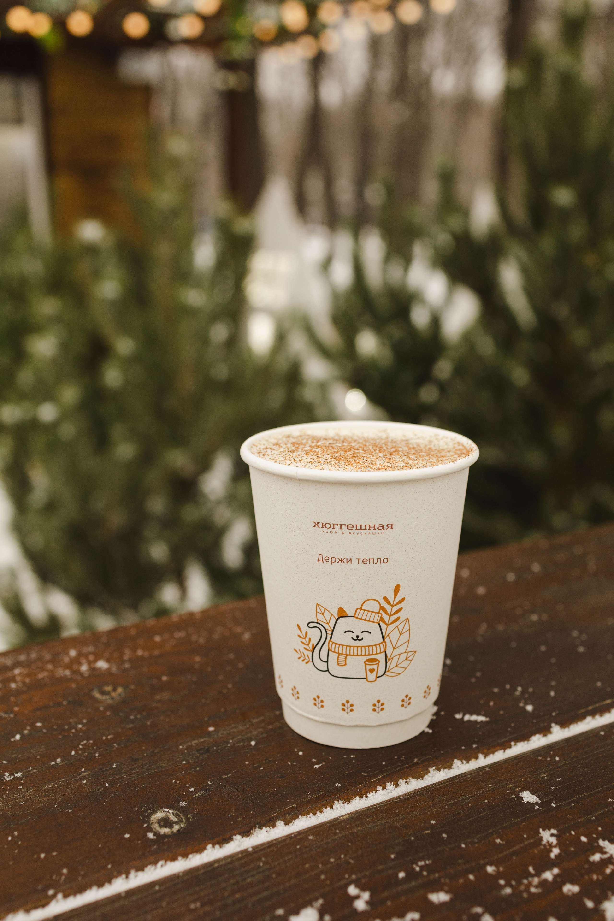 Зимняя Hyggeshnaya. Фотограф Ирина Гринько Тольятти Самара Москва