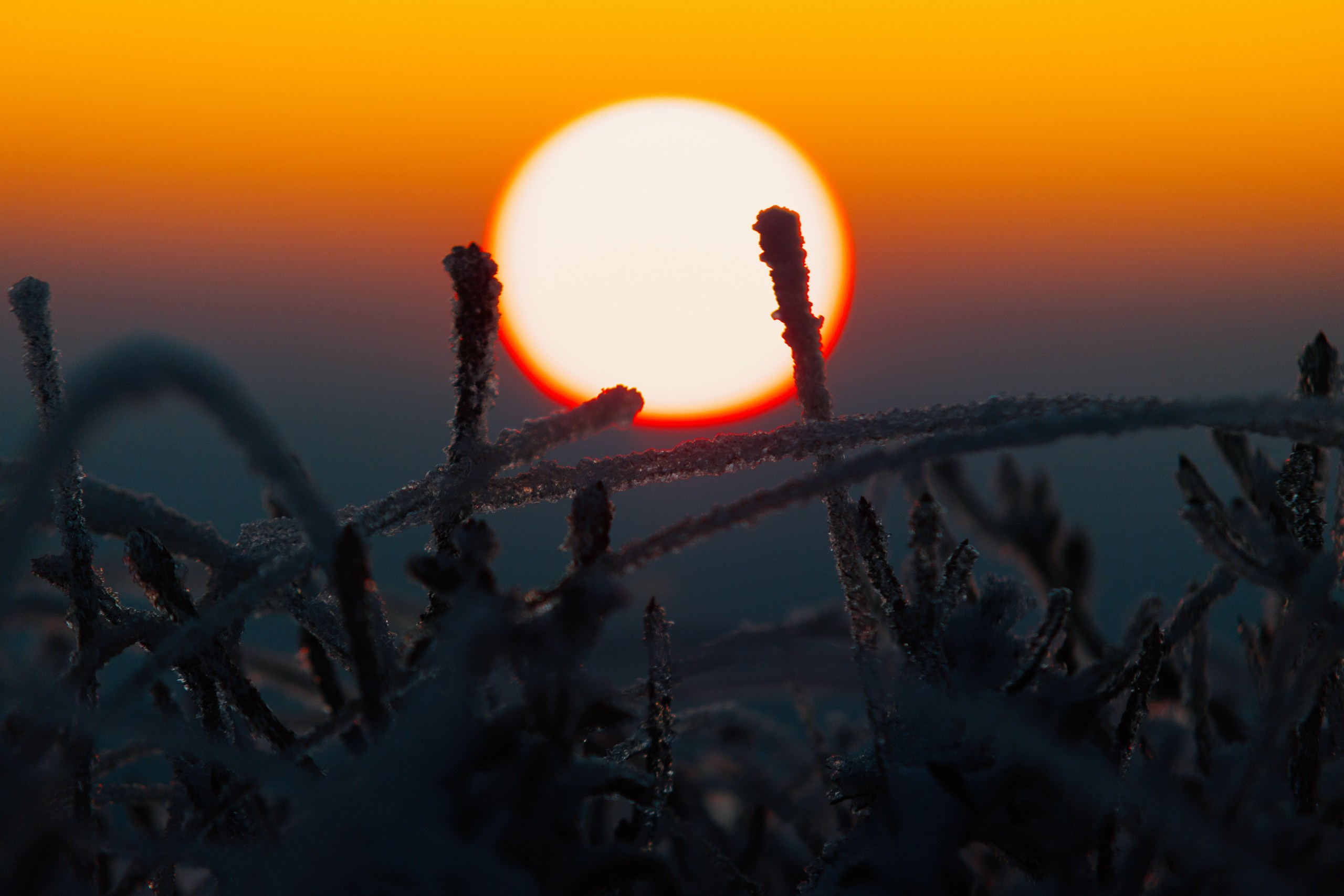 Природа. Спортивный фотограф Тремпольцева Анна