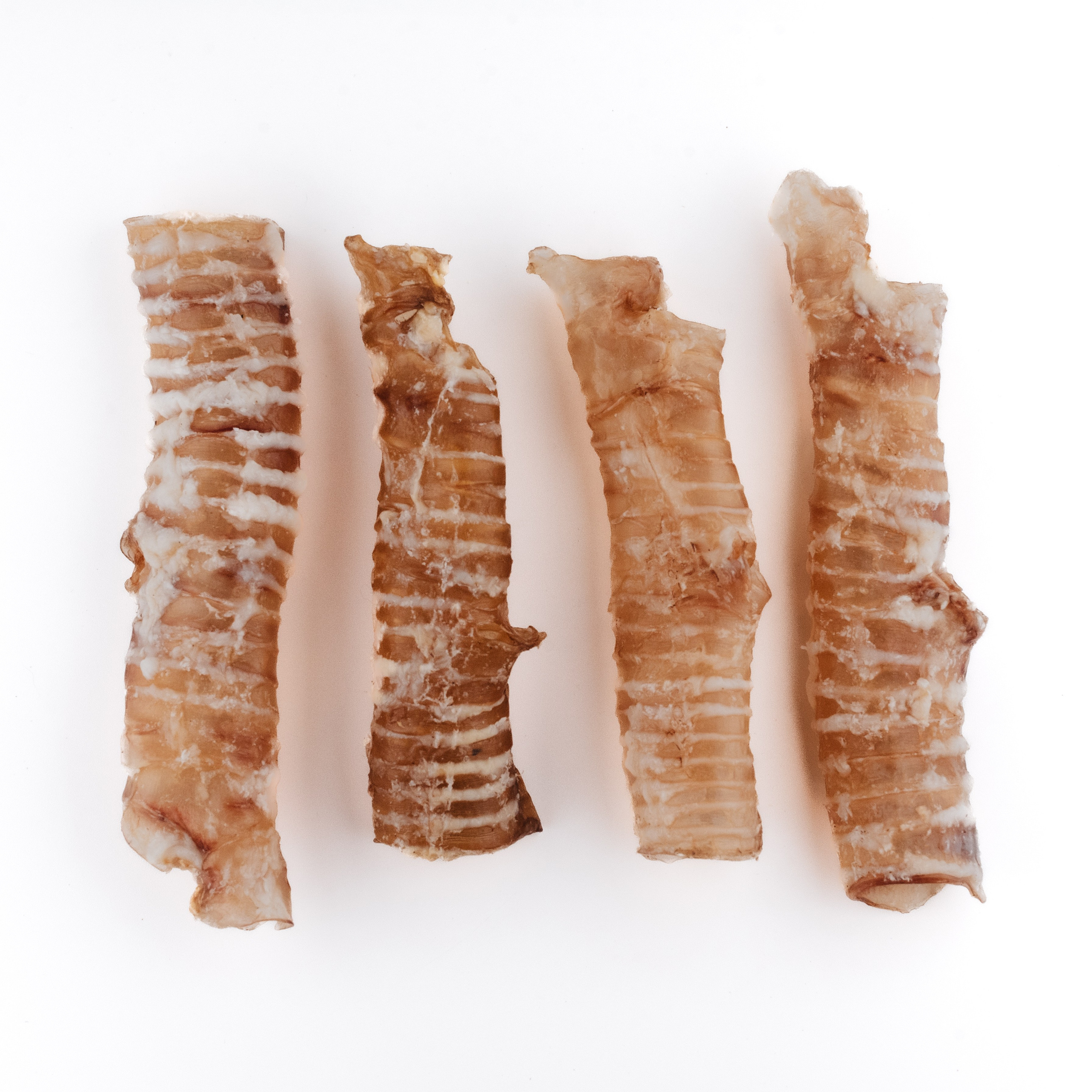 Dog Bone лакомства. Фотограф-анималист Валерия, Москва, Мытищи