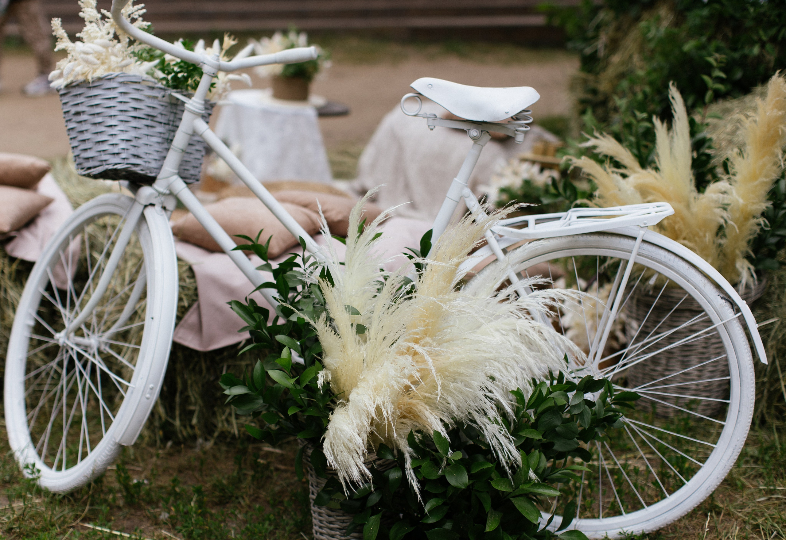 Пикник компании ООО «РИКЦ». АНДРЕЙ ШИРКАЛИН РЕПОРТАЖНЫЙ ФОТОГРАФ МОСКВА НА КОРПОРАТИВ, ДЕНЬ РОЖДЕНИЯ, БАНКЕТ, КОНФЕРЕНЦИЮ, ТИМБИЛДИНГ