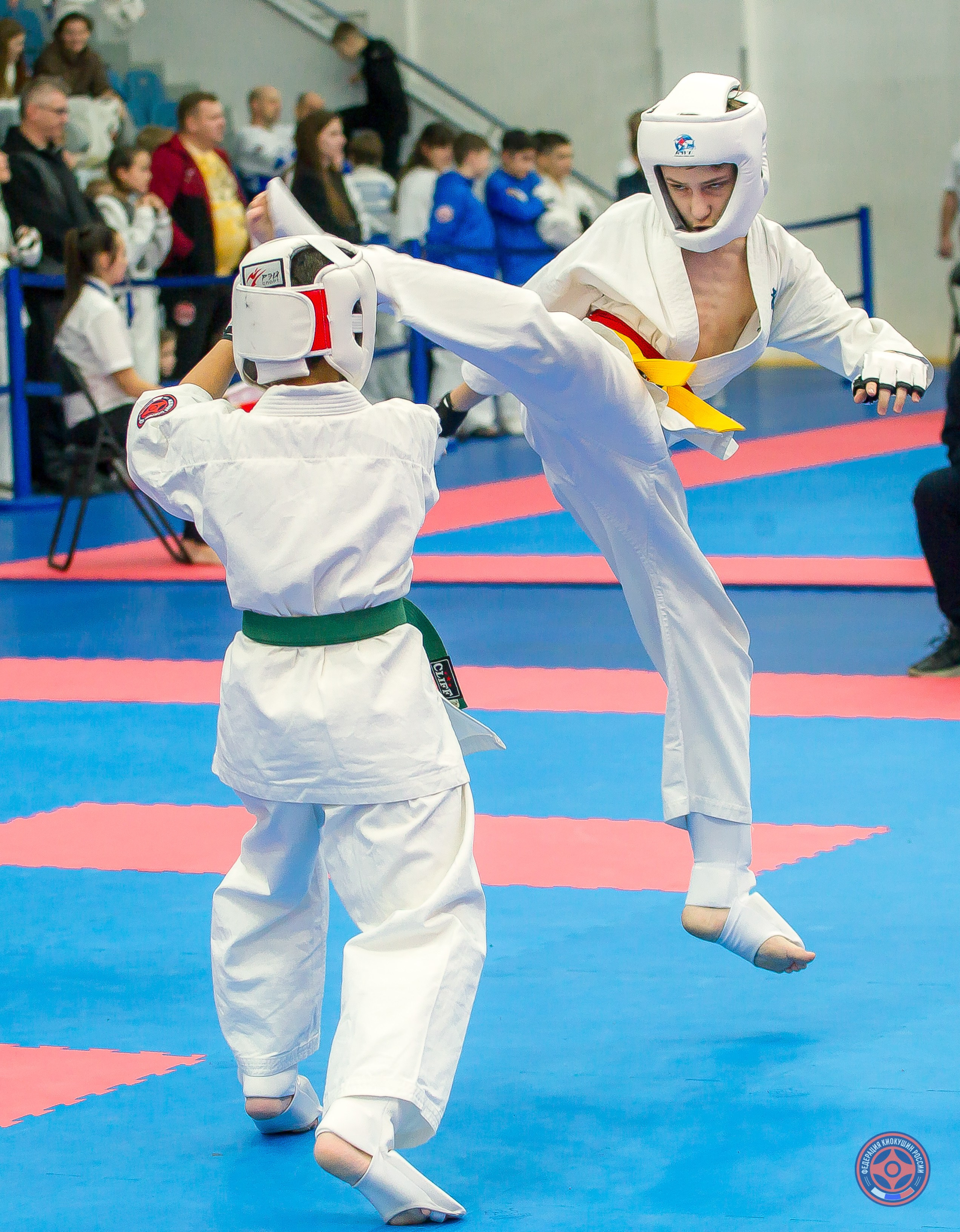 Соревнования по Киокушин памяти С. Увицкого. Репортажная съемка в Москве и области. Анималистика