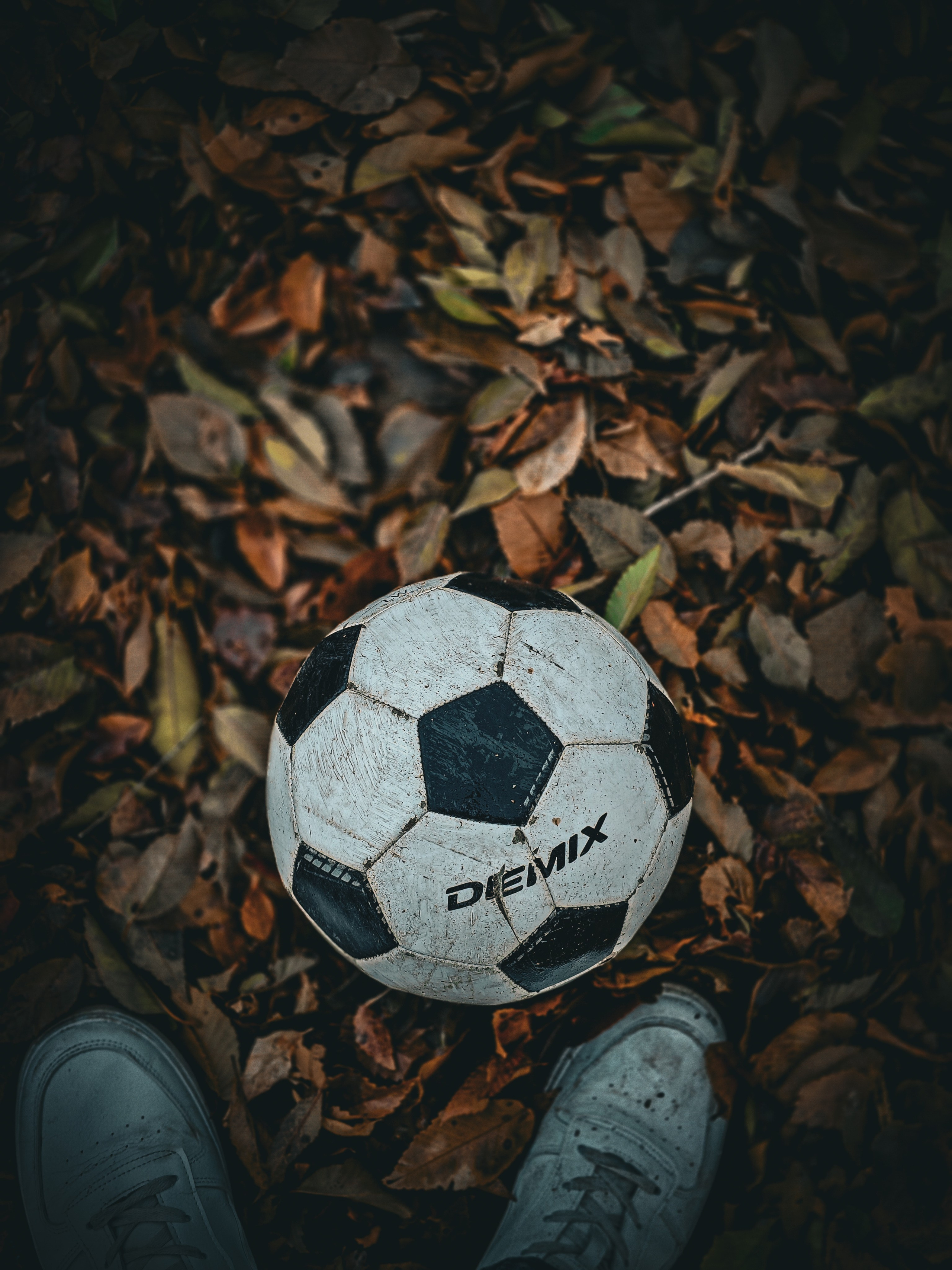 Осенние листья. Игорь Урывский. Фотограф Красноярск