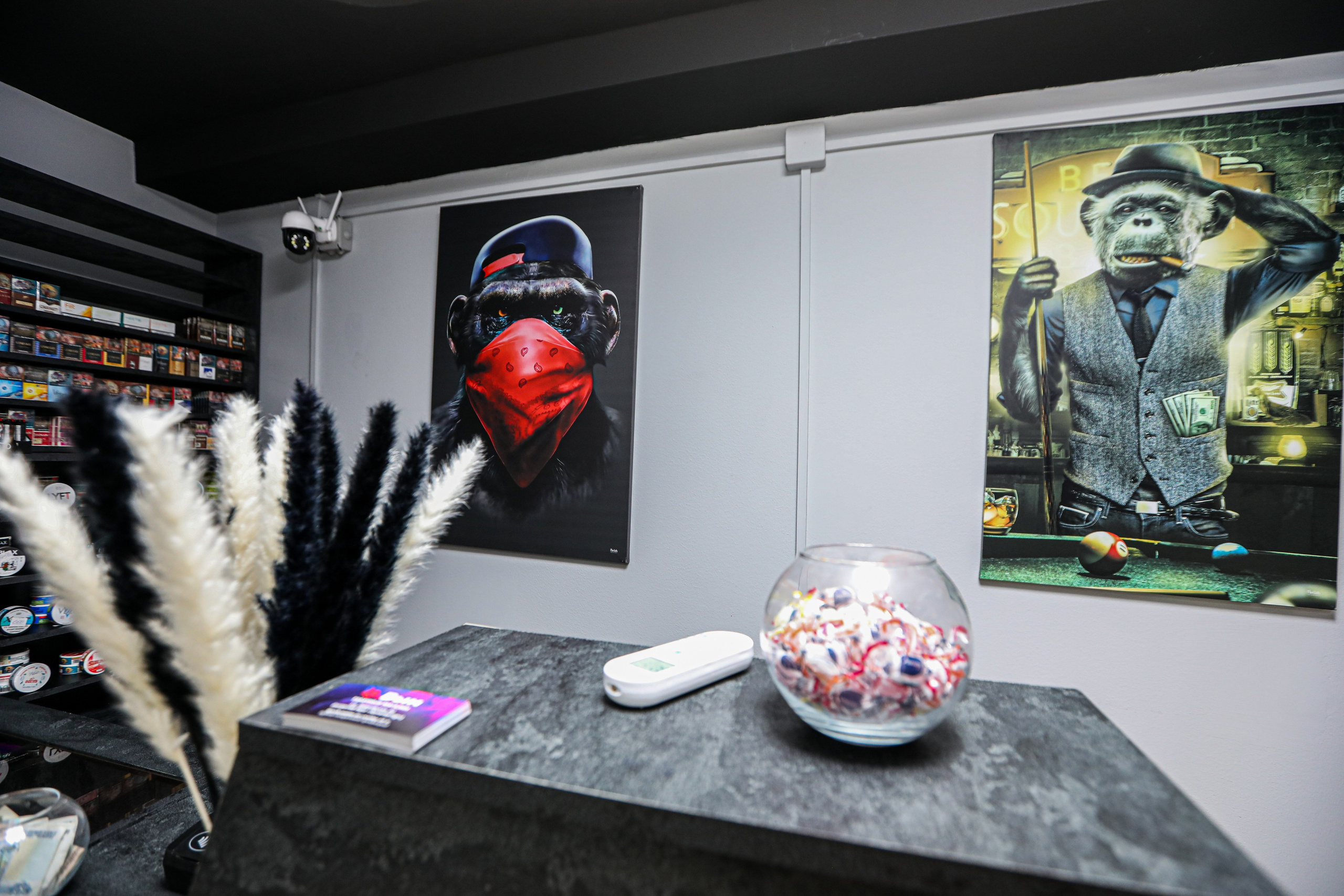 ИНТЕРЬЕРЫ. Photographer Viktoriya Markushina «My world throug»