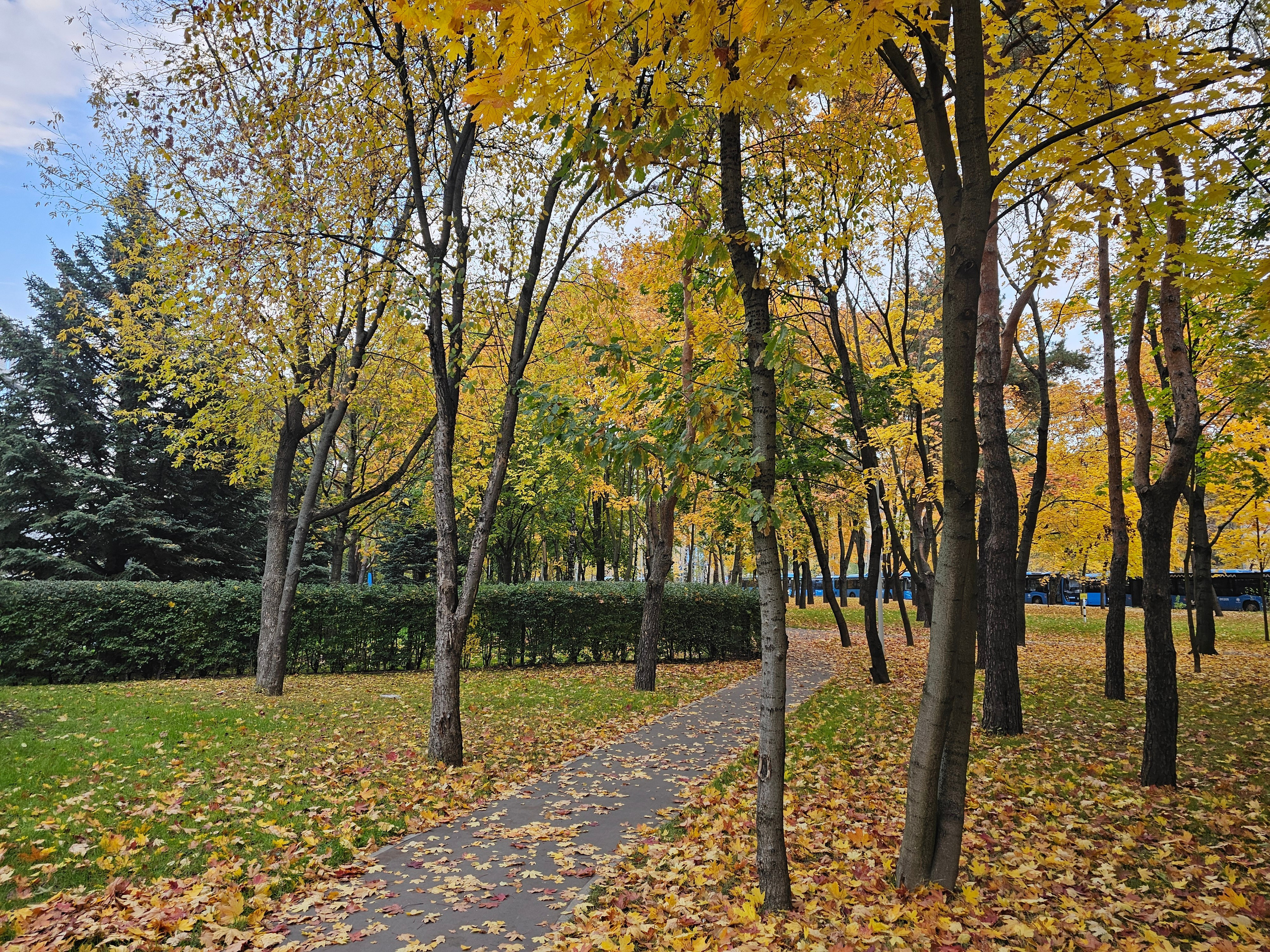 Ilaronsia эстетика фото визуал