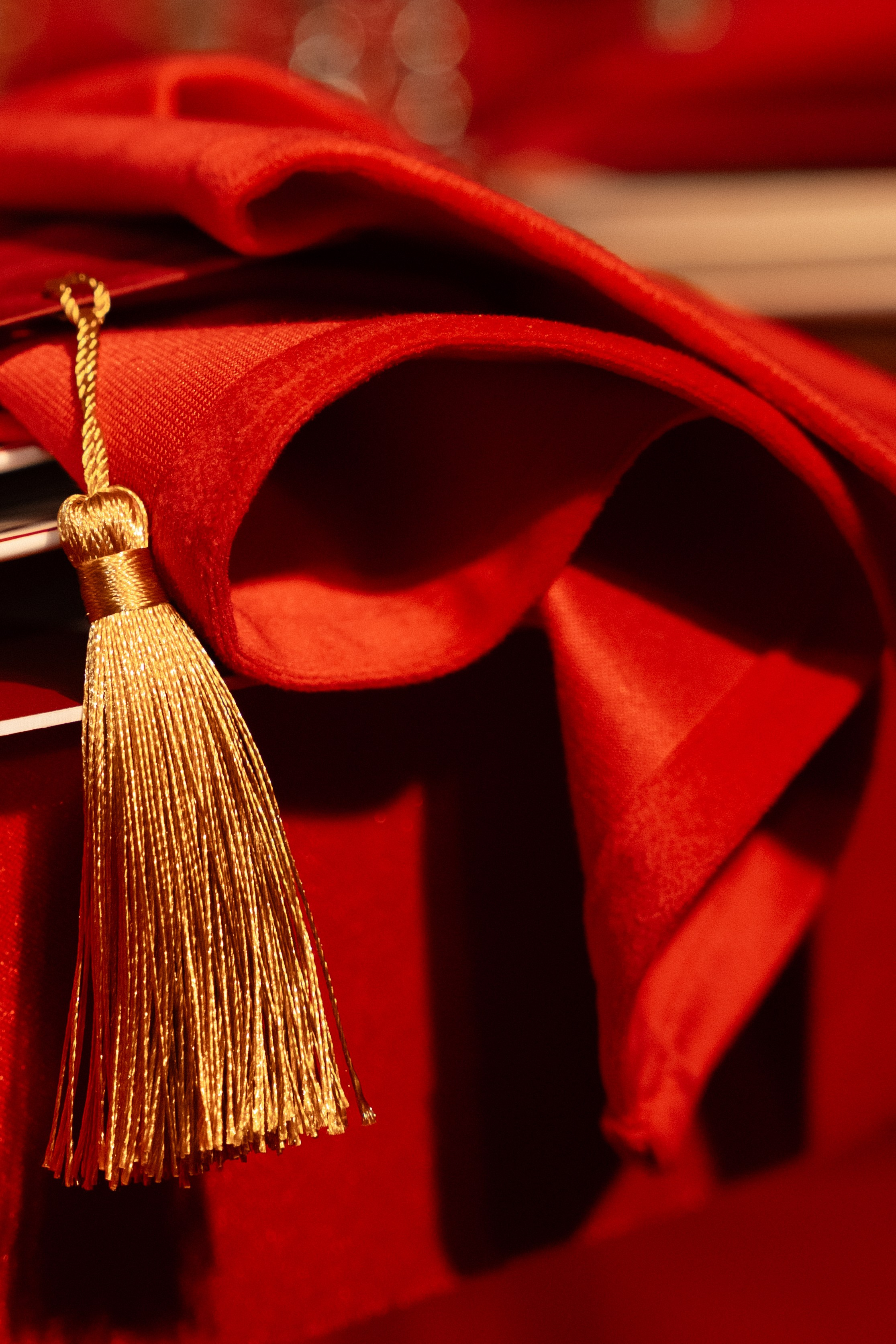 Circus party. Свадебный фотограф Михаил Мирзоян