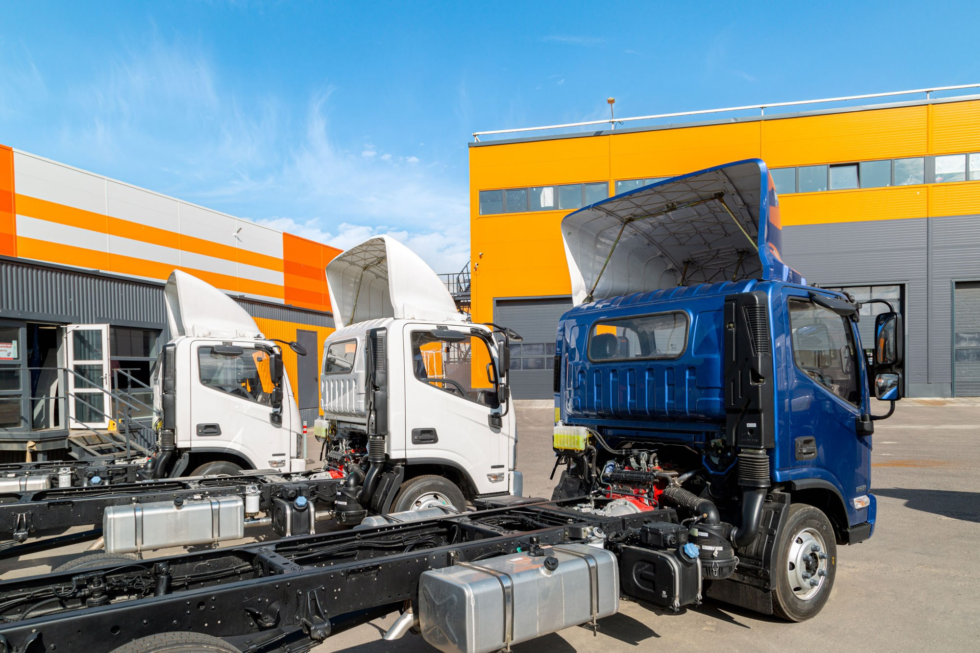 Логопарк М7. Фотограф в Москве Маленкова Дарья