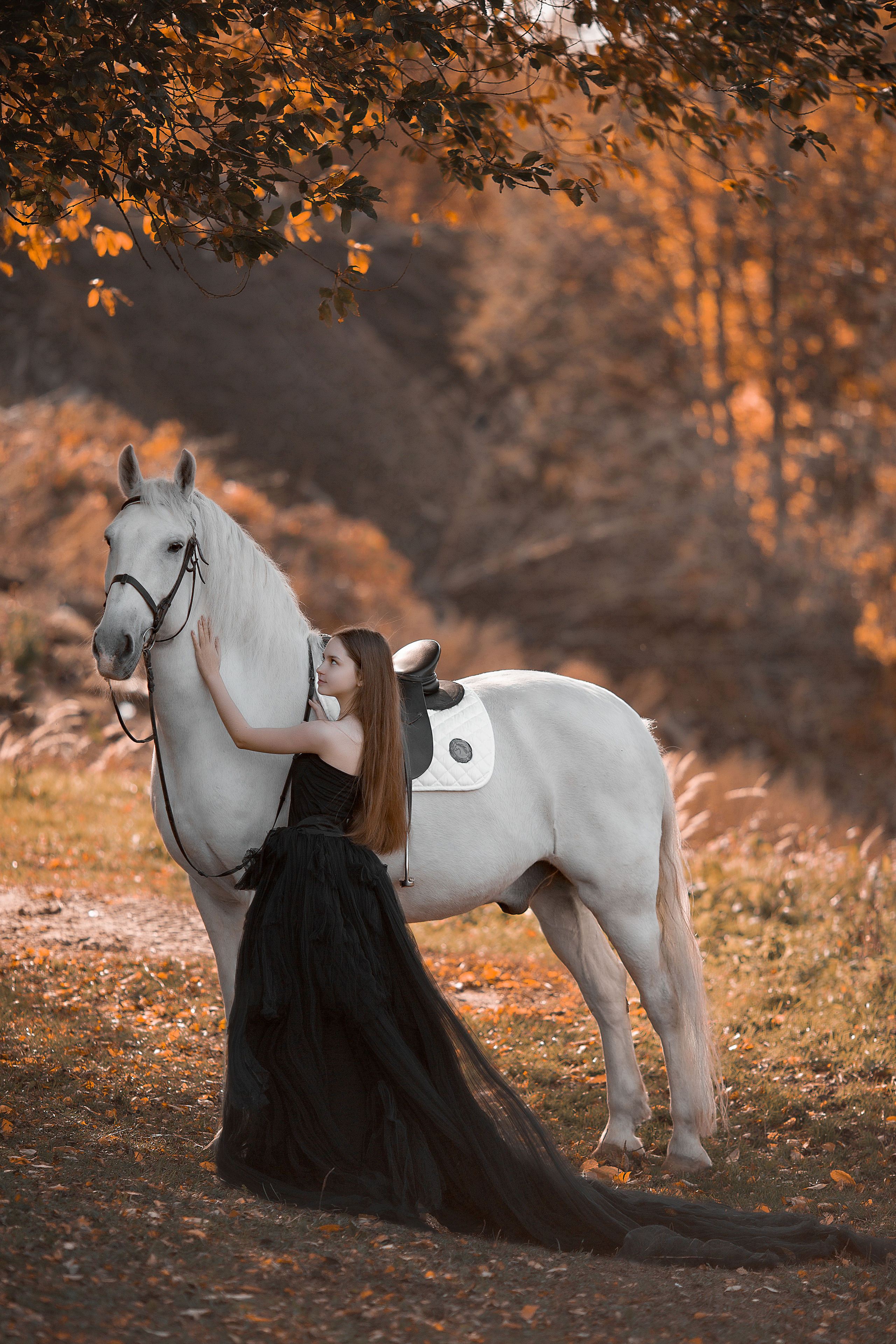 Фотосессия Алины и Воробушка. Фотосессия с лошадьми в Нижнем Новгороде