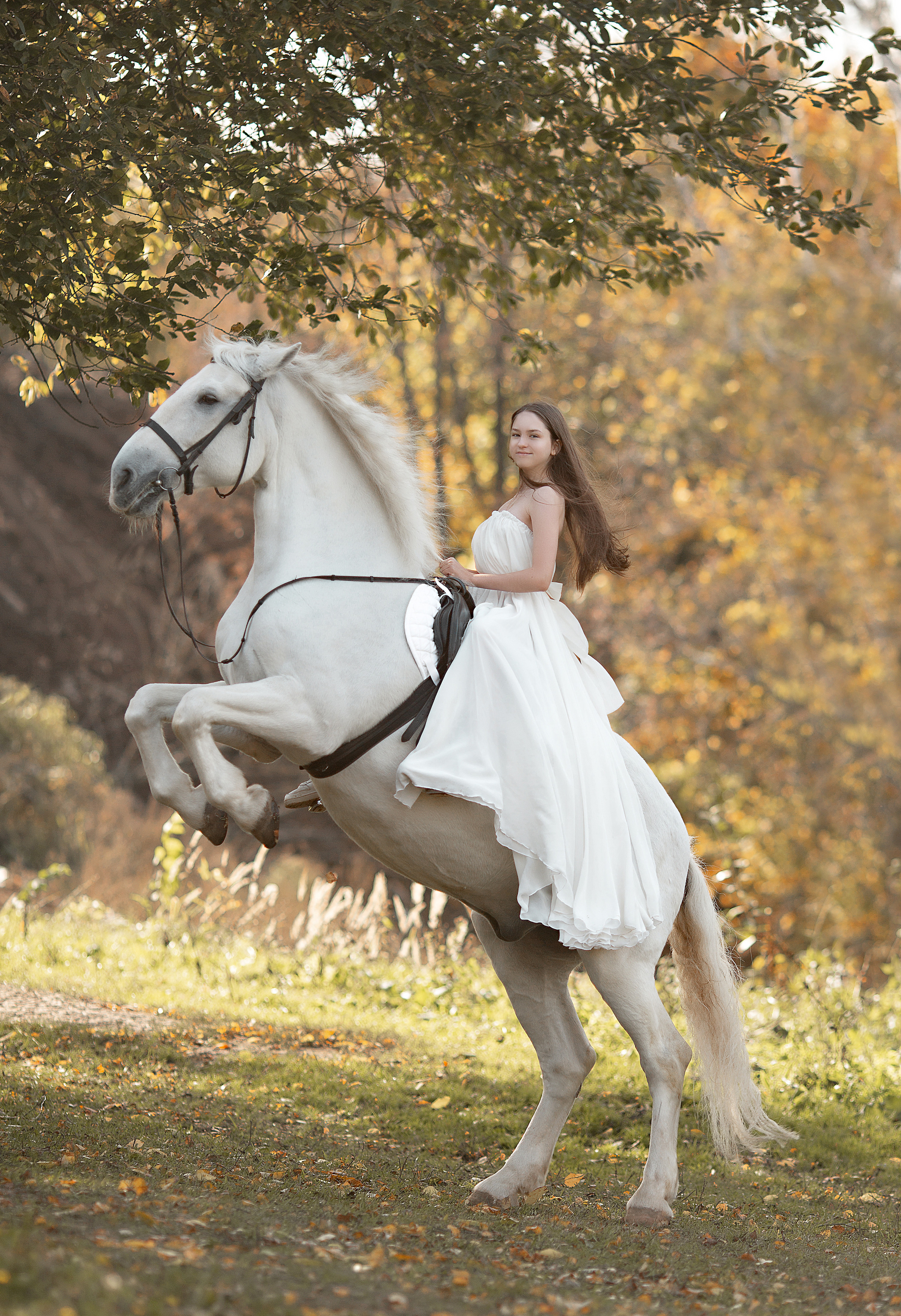 Фотосессия Алины и Воробушка. Фотосессия с лошадьми в Нижнем Новгороде