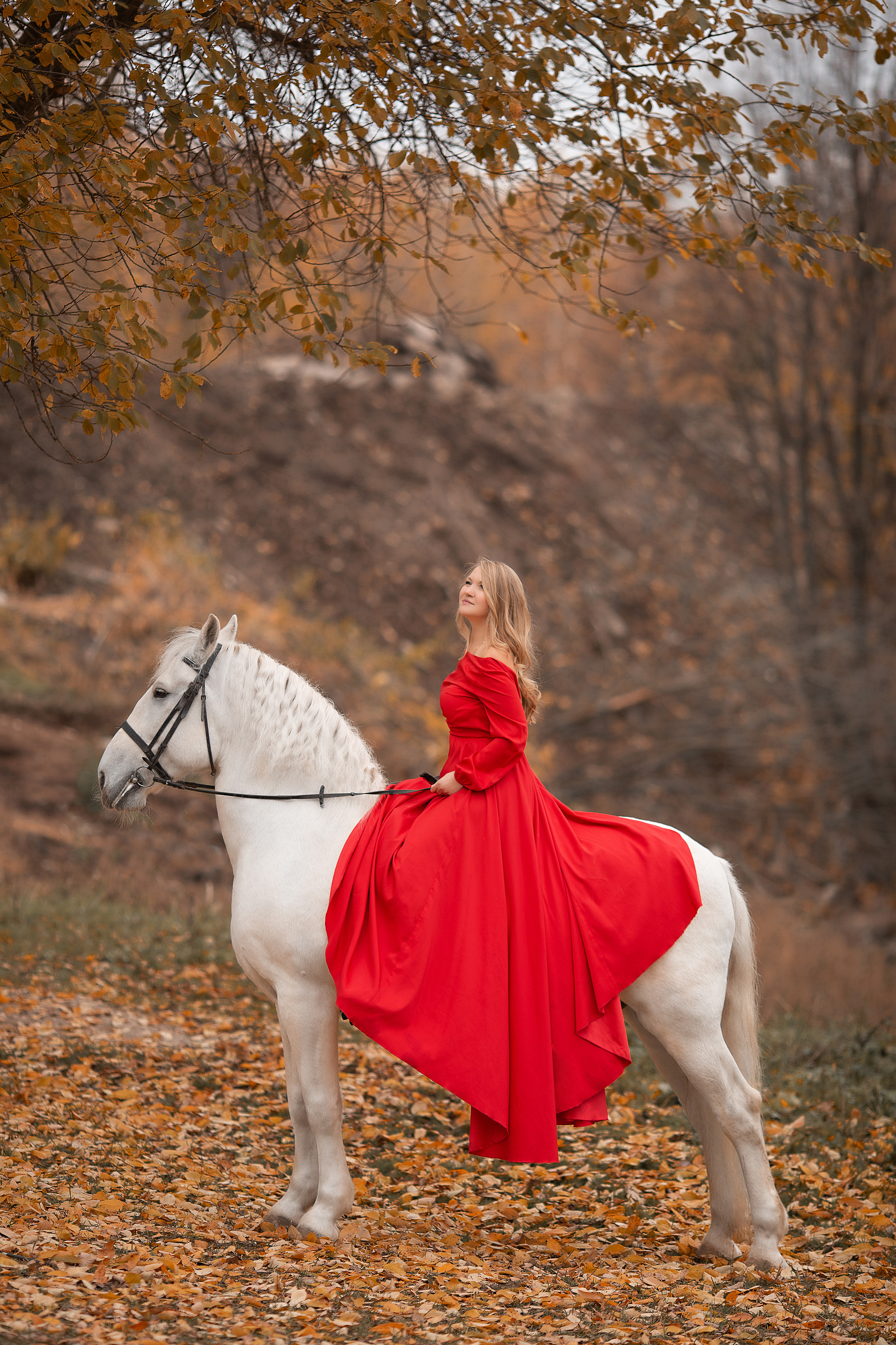 Светлана и Воробей 23.10.22. Фотосессия с лошадьми в Нижнем Новгороде