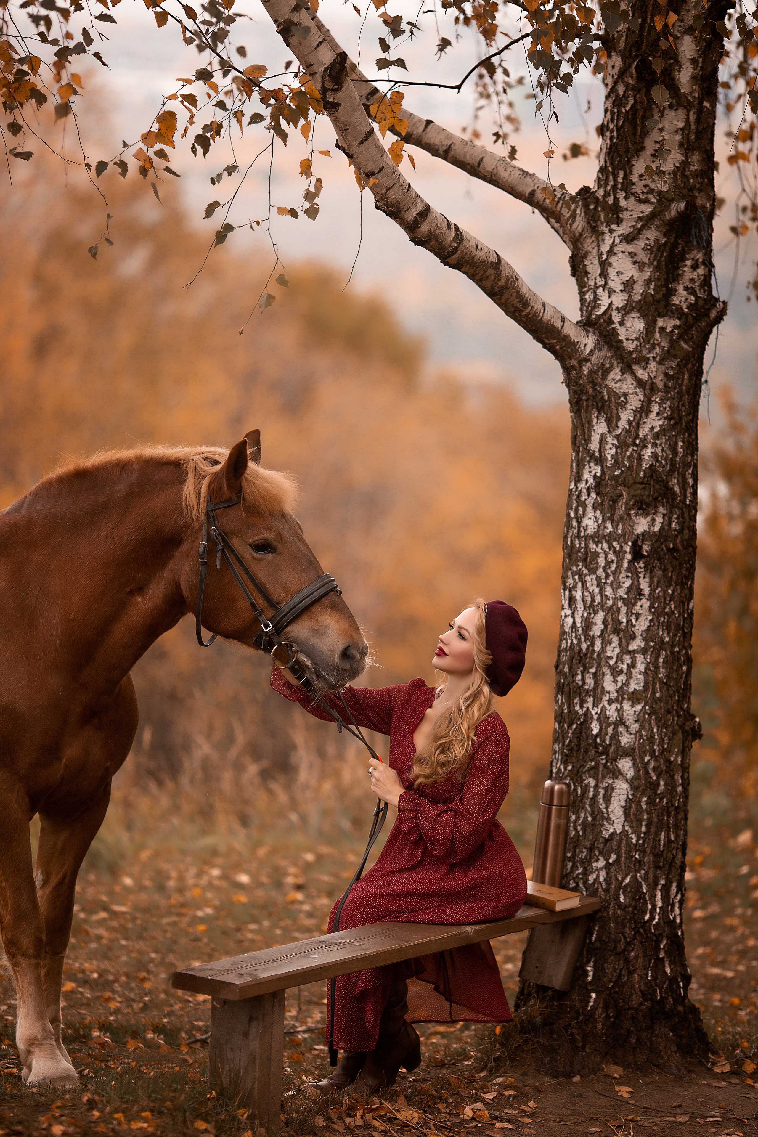 Красивая осенняя съемка Софьи и Радуги. Фотосессия с лошадьми в Нижнем Новгороде