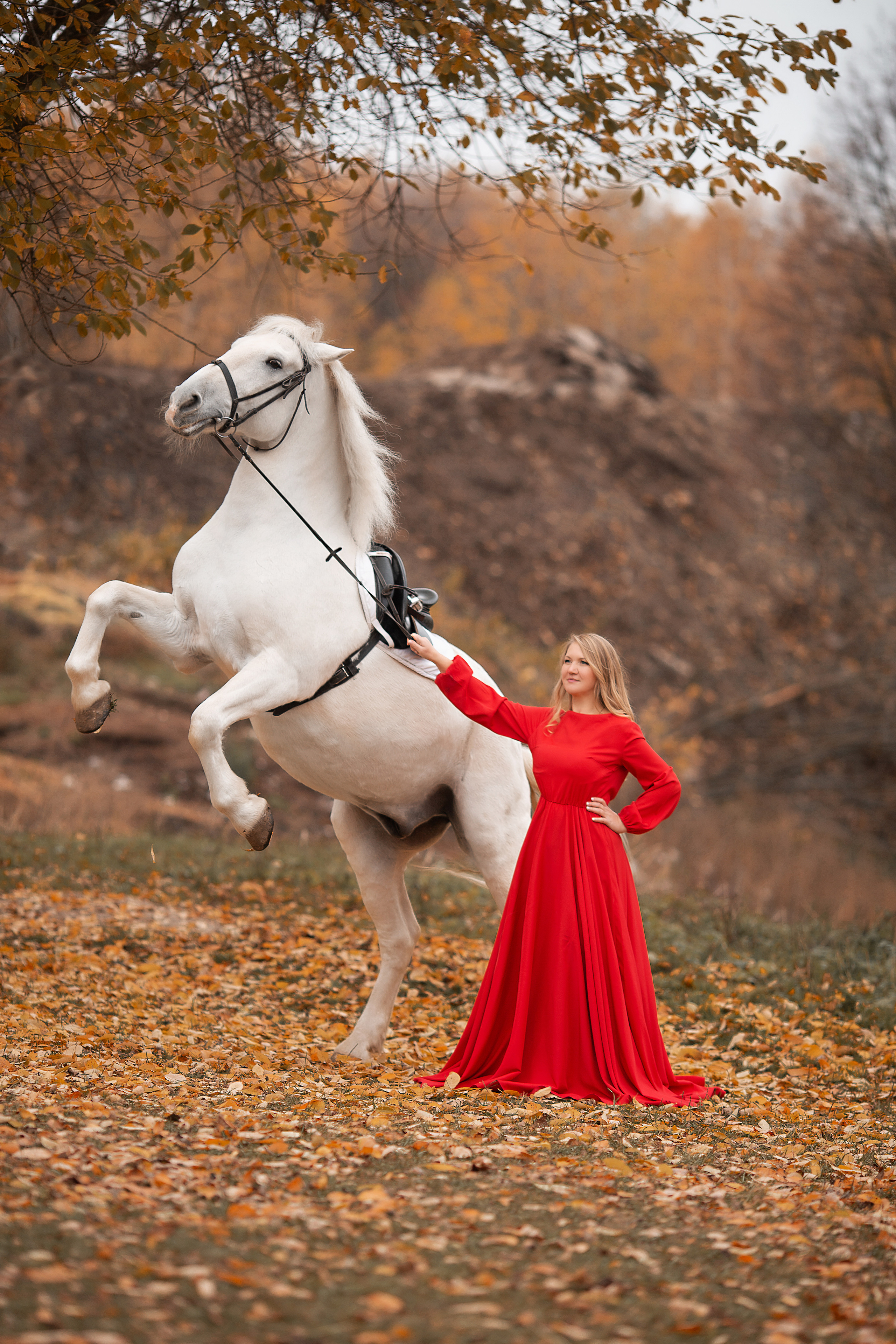 Светлана и Воробей 23.10.22. Фотосессия с лошадьми в Нижнем Новгороде