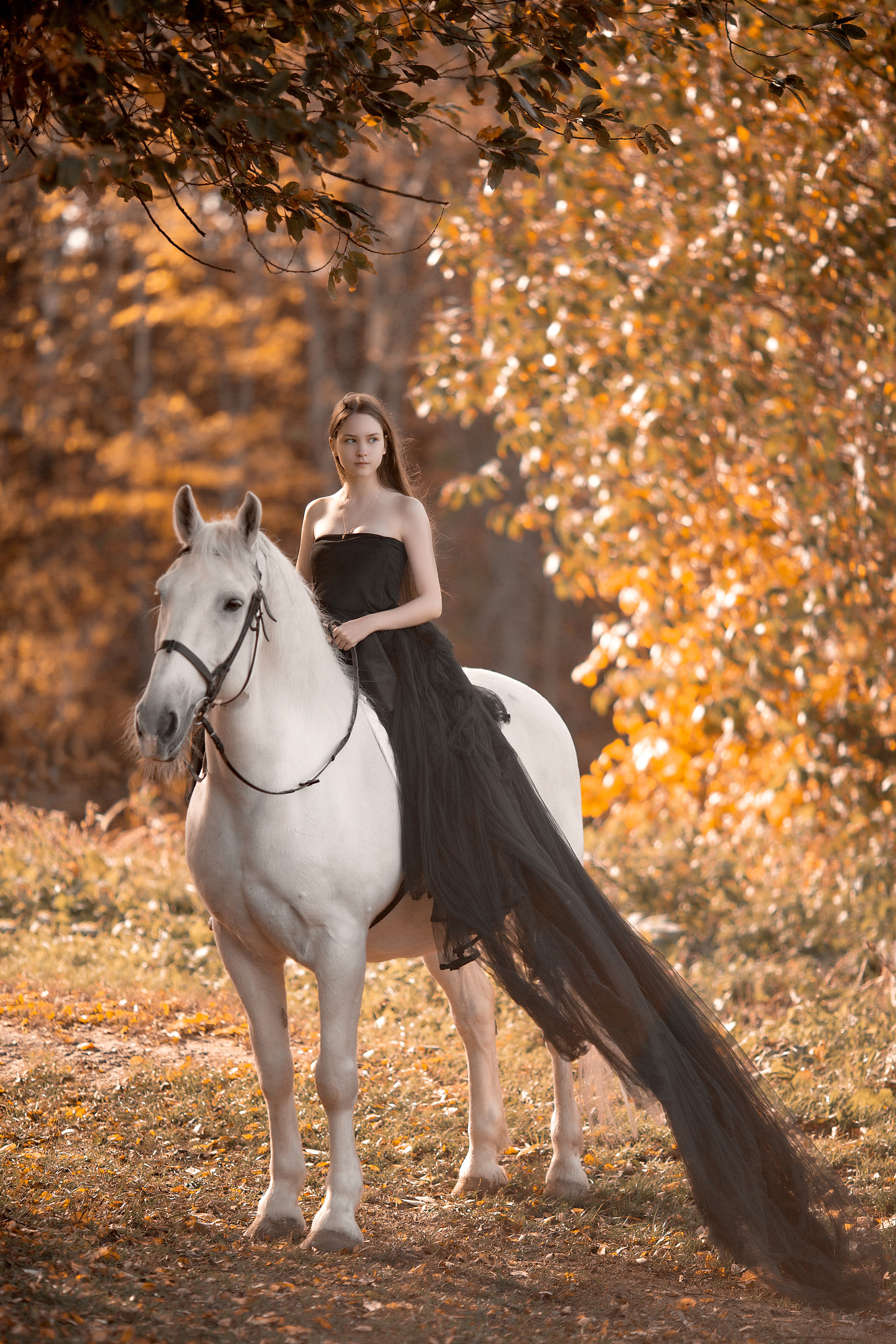 Фотосессия Алины и Воробушка. Фотосессия с лошадьми в Нижнем Новгороде