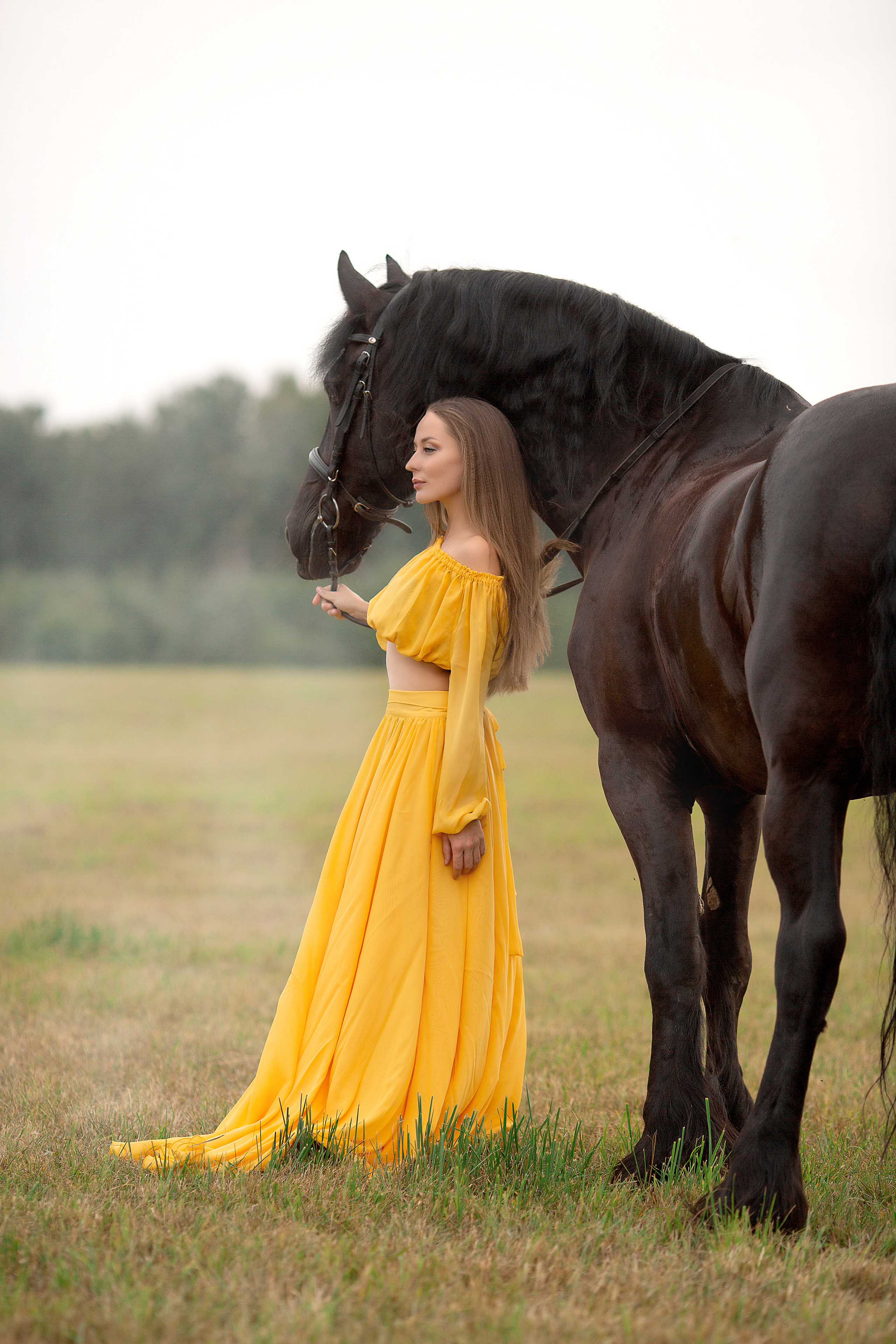 Надежда и Ферзь (КСК «Курцево»). Фотосессия с лошадьми в Нижнем Новгороде