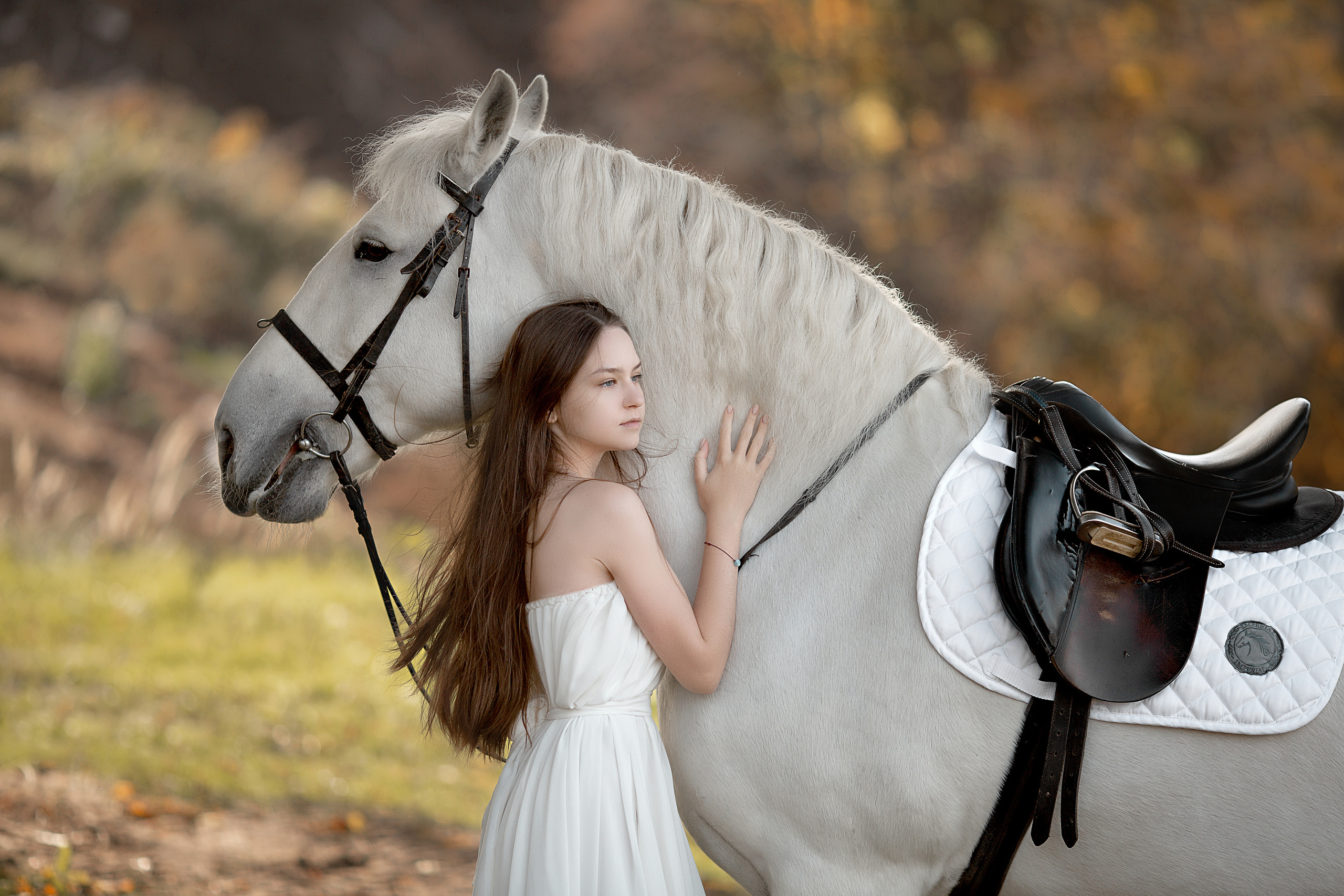 Фотосессия Алины и Воробушка. Фотосессия с лошадьми в Нижнем Новгороде