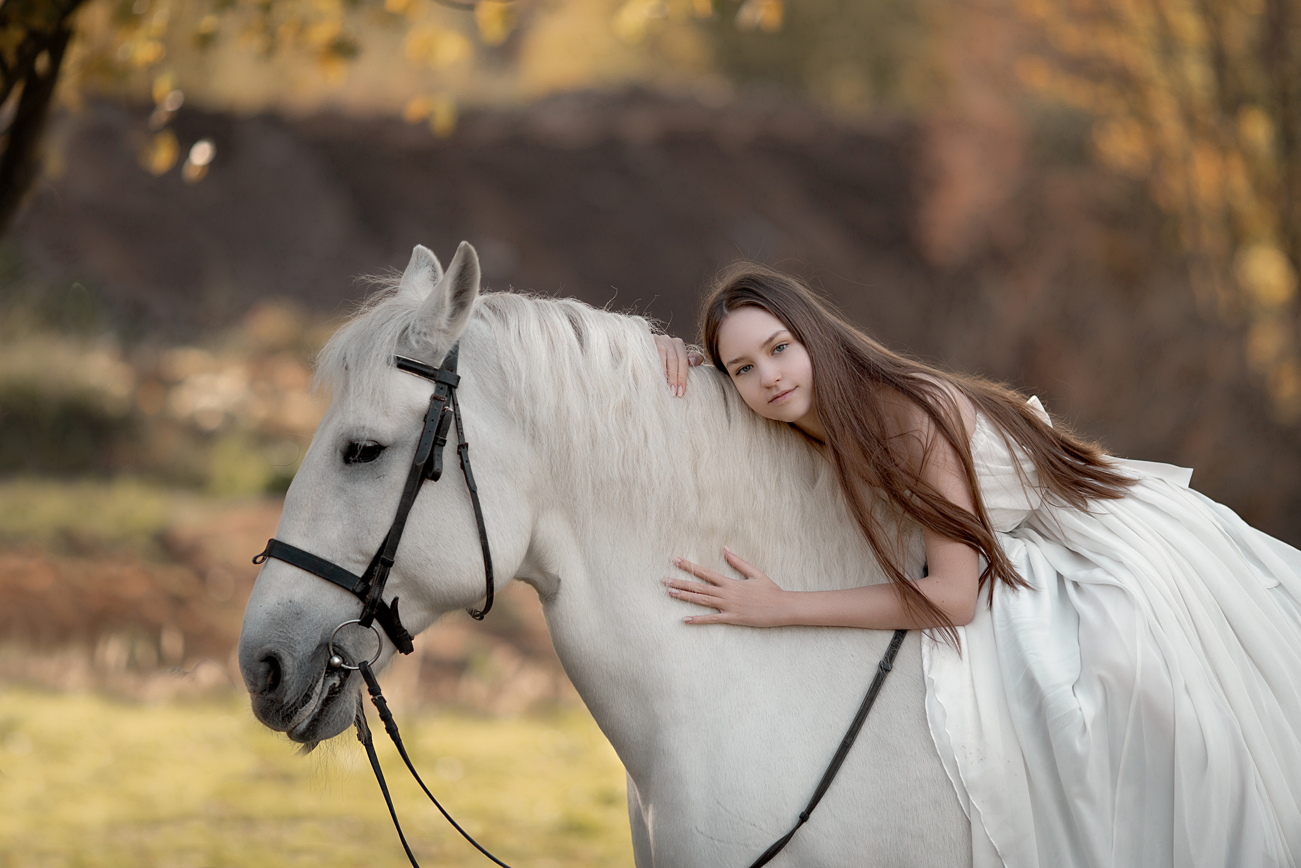 Фотосессия Алины и Воробушка. Фотосессия с лошадьми в Нижнем Новгороде