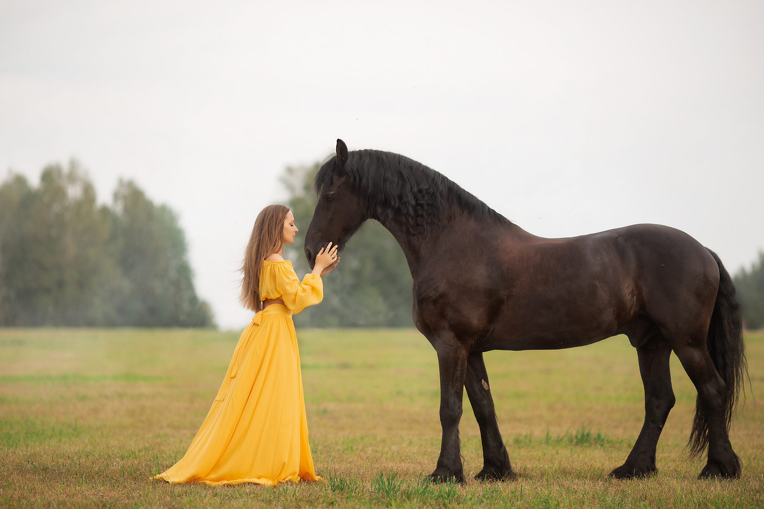 Надежда и Ферзь (КСК «Курцево»). Фотосессия с лошадьми в Нижнем Новгороде