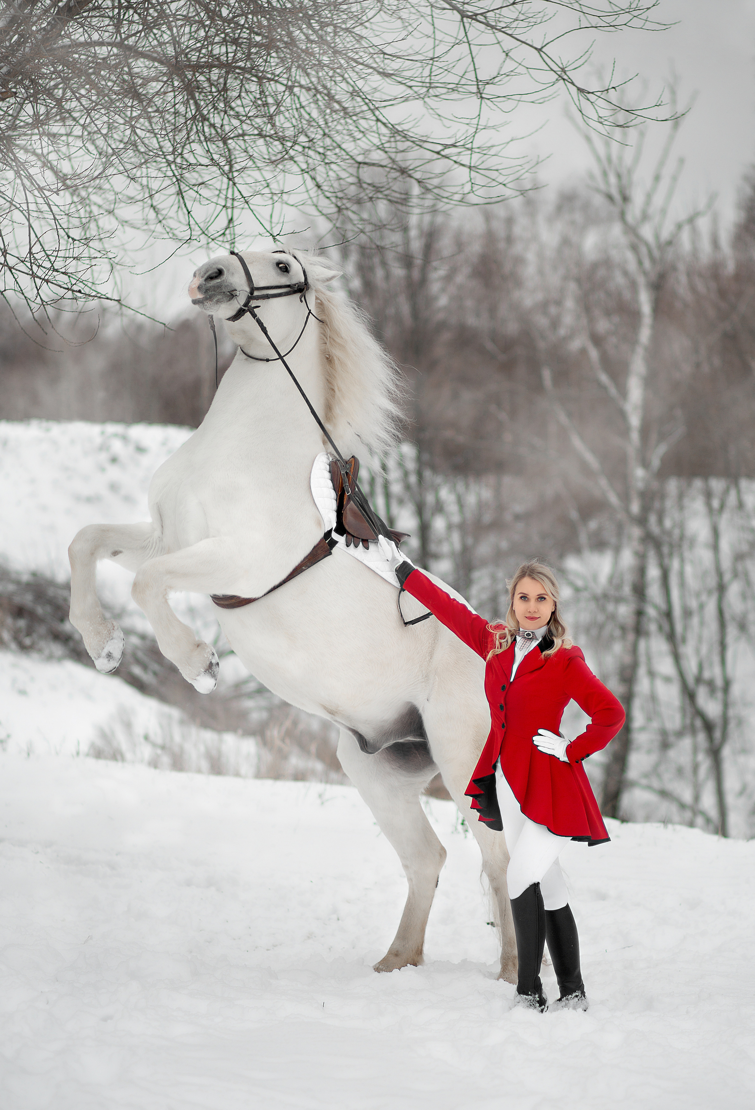 Оксана и Воробушек 19.11.22. Фотосессия с лошадьми в Нижнем Новгороде