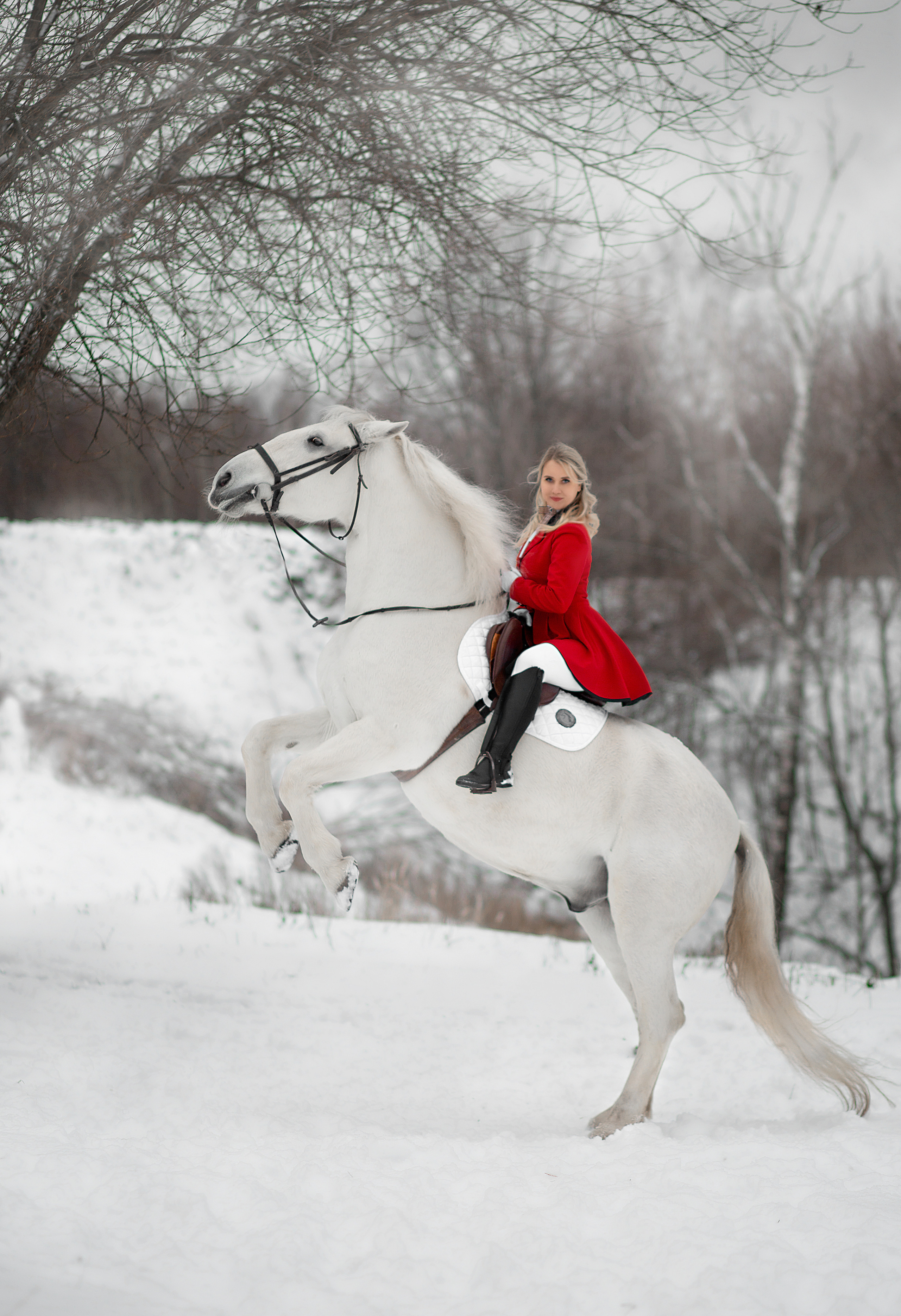 Оксана и Воробушек 19.11.22. Фотосессия с лошадьми в Нижнем Новгороде