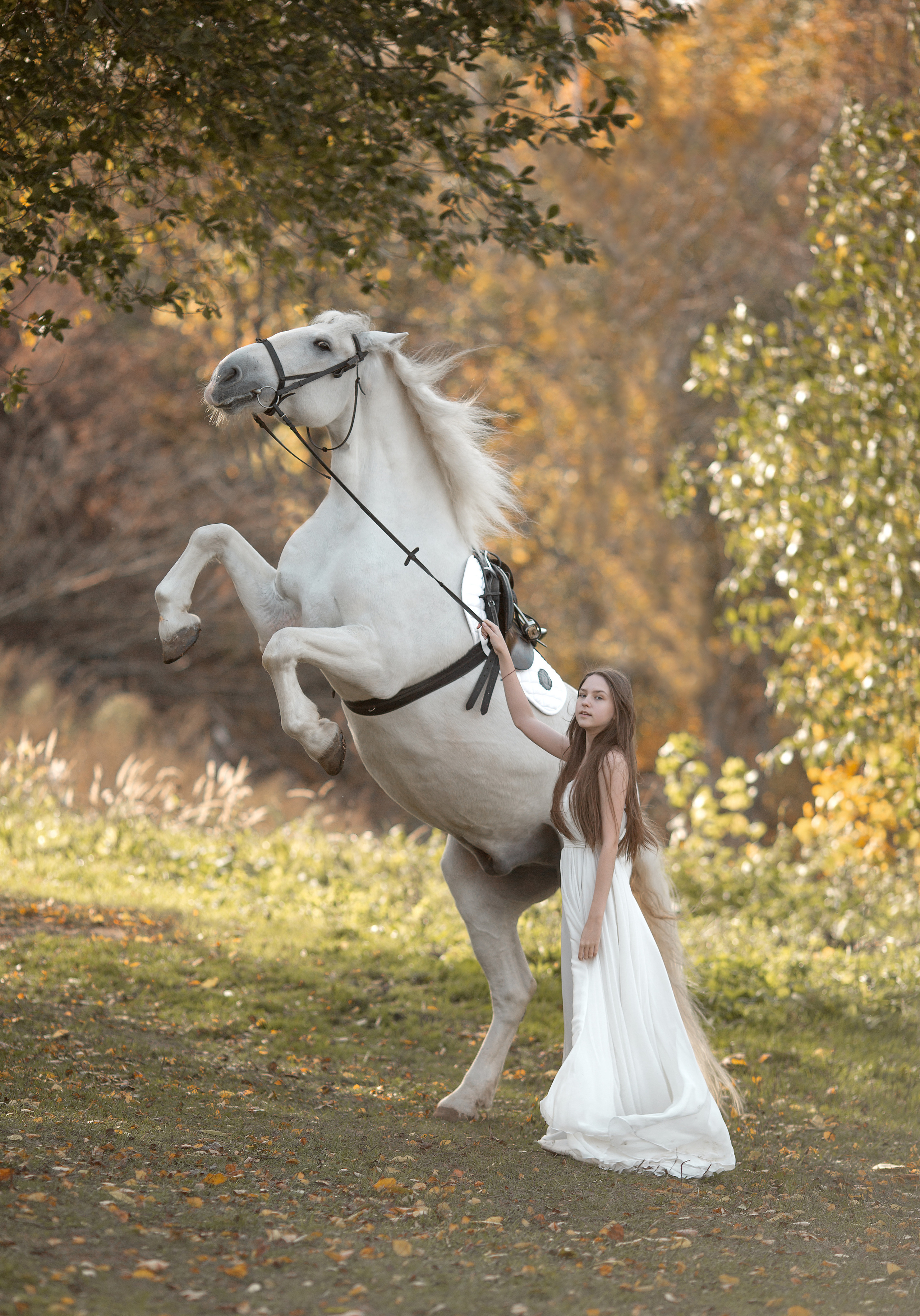 Фотосессия Алины и Воробушка. Фотосессия с лошадьми в Нижнем Новгороде