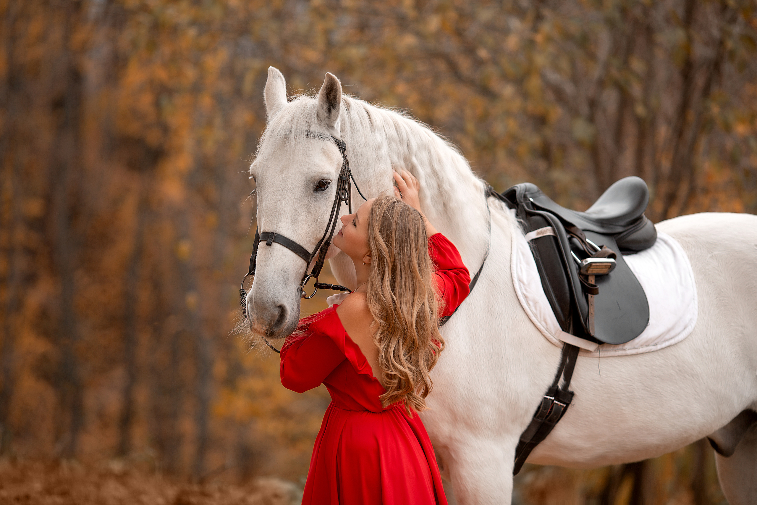 Светлана и Воробей 23.10.22. Фотосессия с лошадьми в Нижнем Новгороде