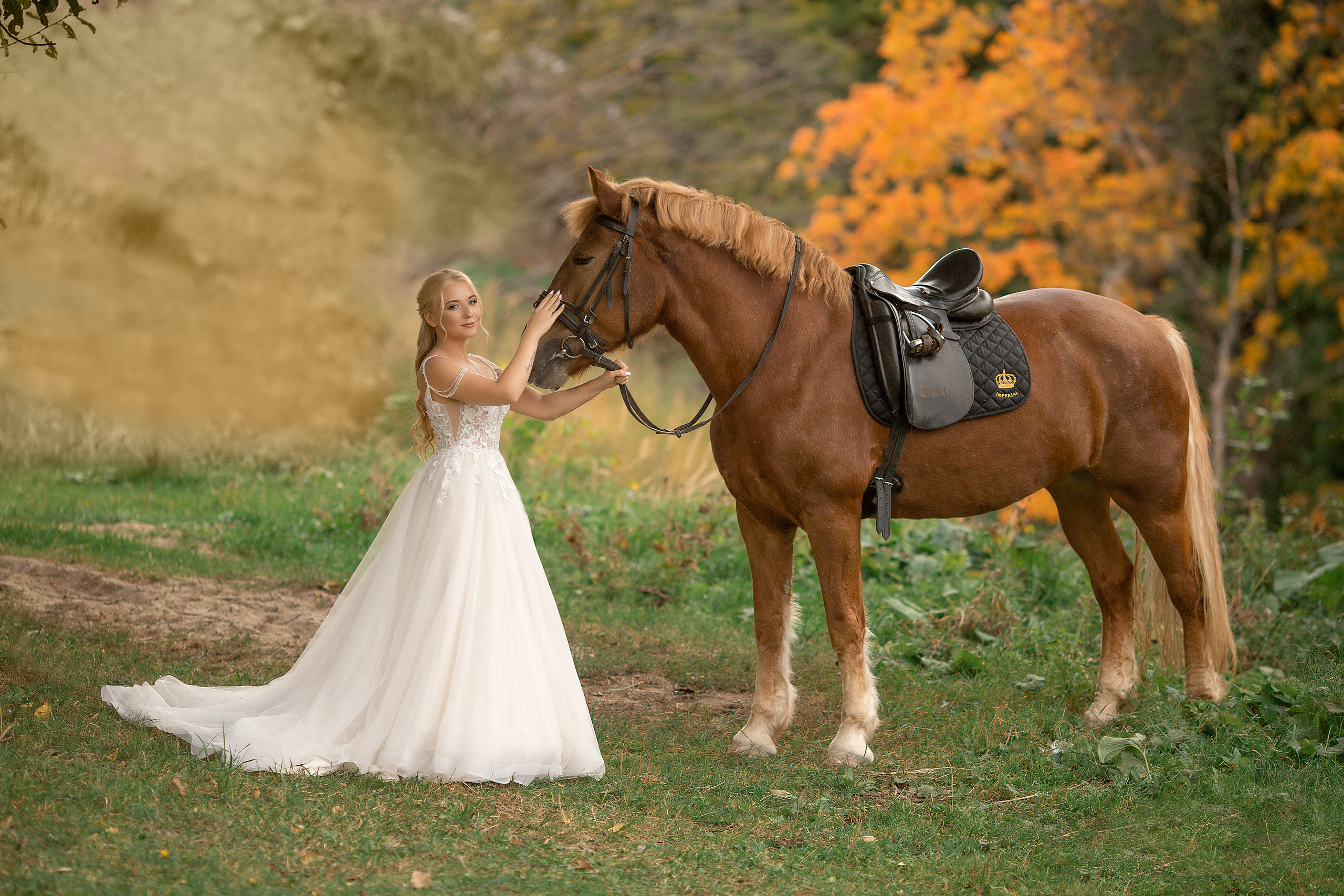 Фотосессия Любы и Дениса с Радугой. Фотосессия с лошадьми в Нижнем Новгороде