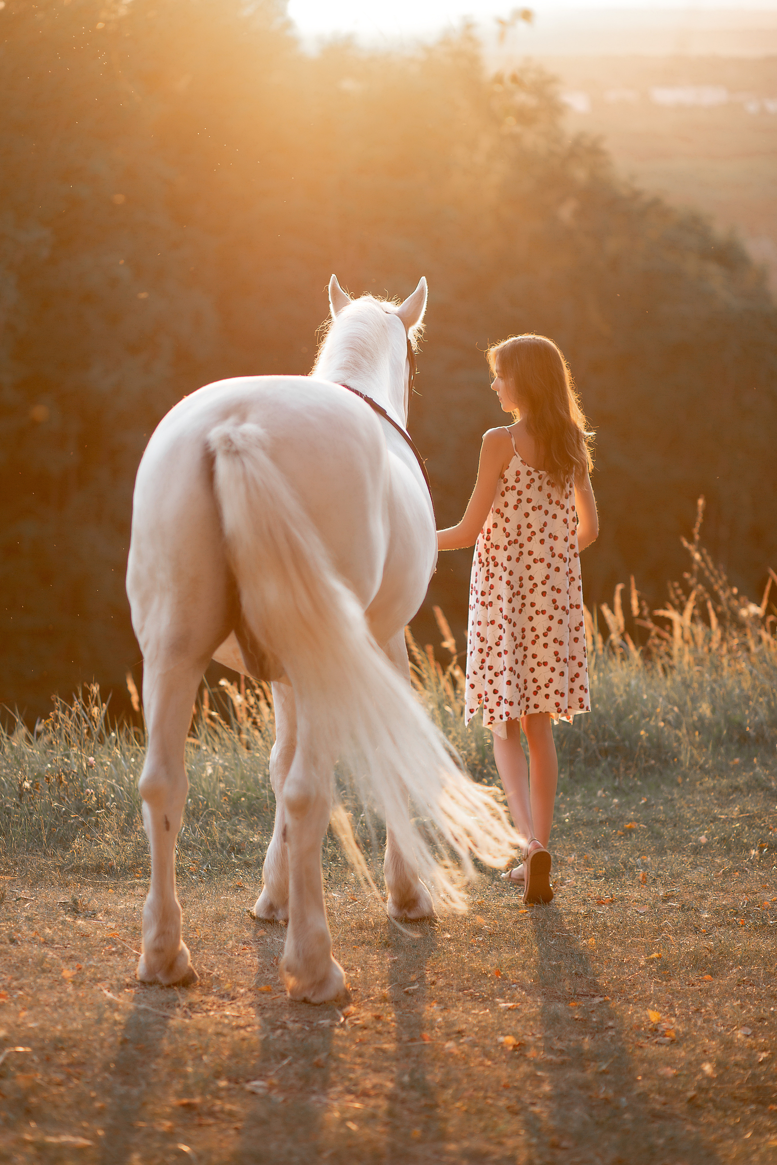 Светлана и Воробей 16.08.2022. Фотосессия с лошадьми в Нижнем Новгороде