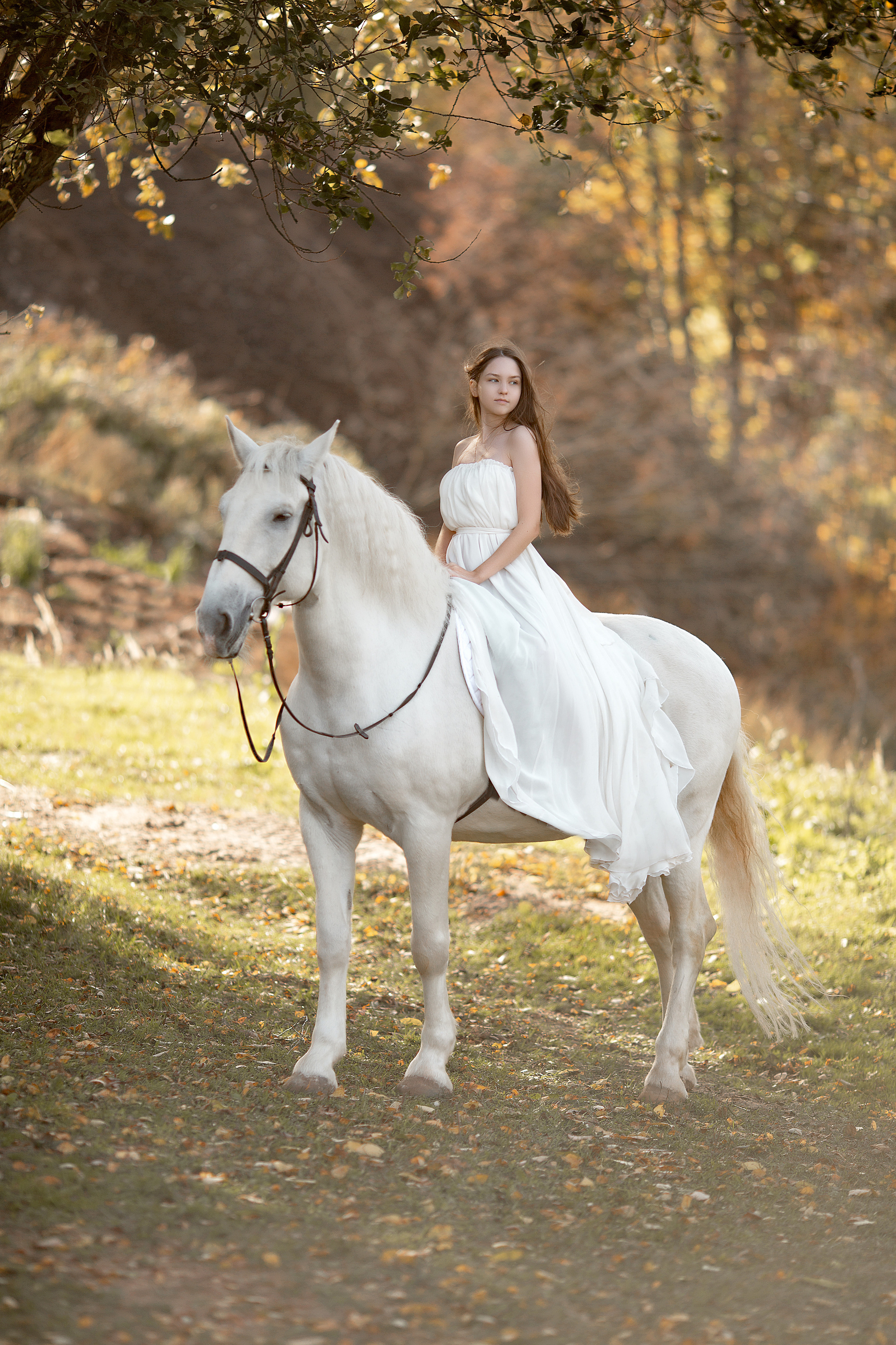 Фотосессия Алины и Воробушка. Фотосессия с лошадьми в Нижнем Новгороде