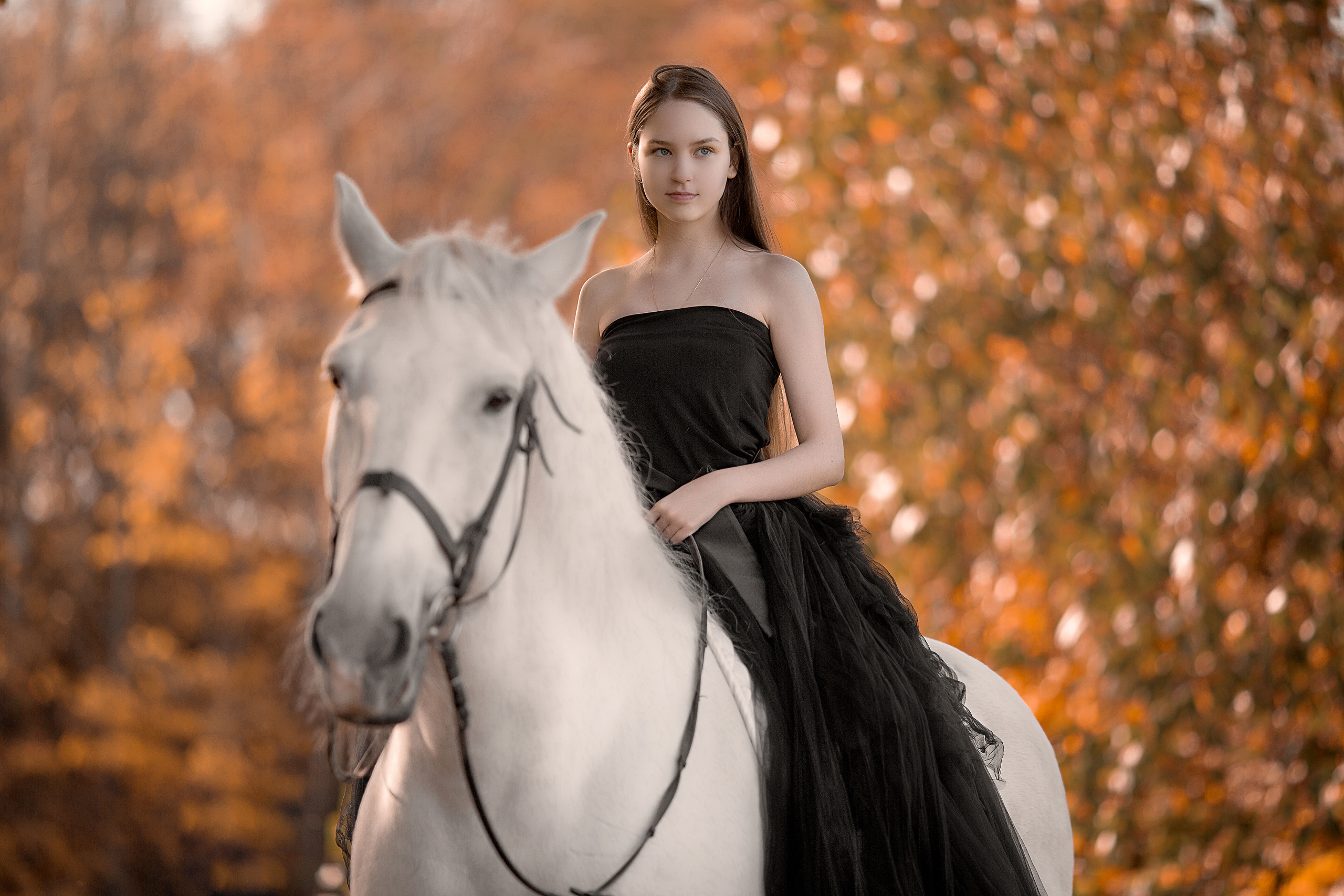 Фотосессия Алины и Воробушка. Фотосессия с лошадьми в Нижнем Новгороде