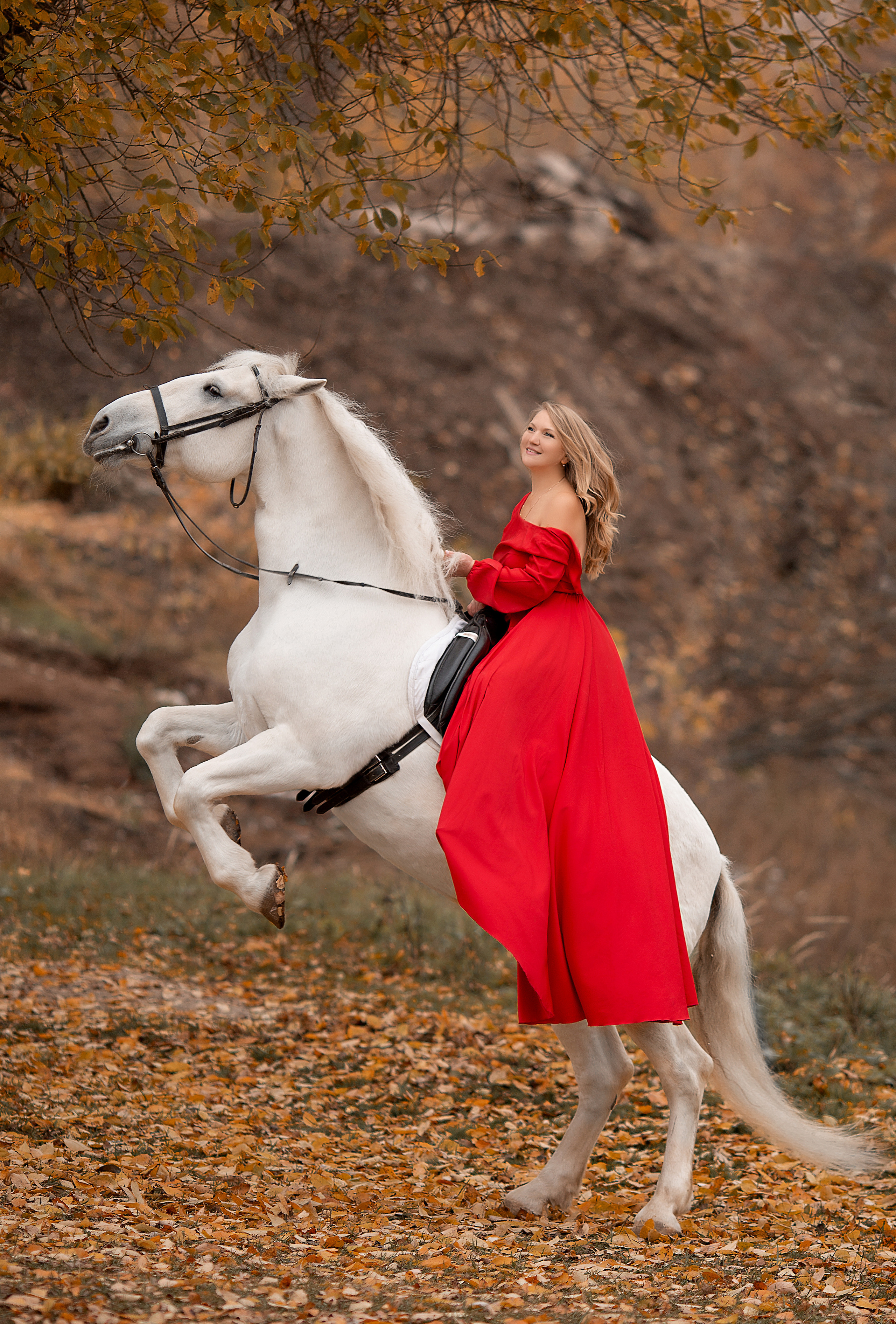 Светлана и Воробей 23.10.22. Фотосессия с лошадьми в Нижнем Новгороде