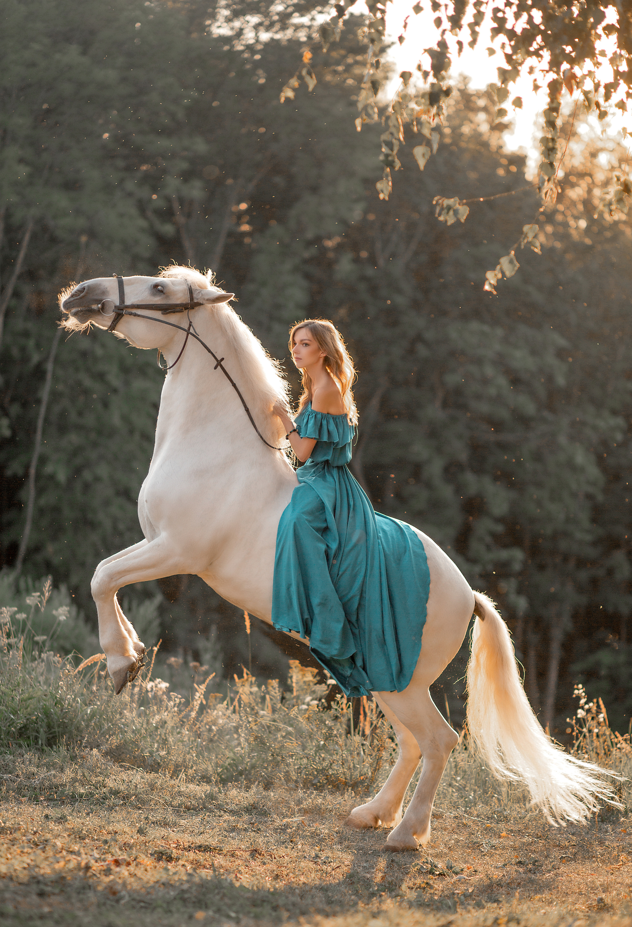 Светлана и Воробей 16.08.2022. Фотосессия с лошадьми в Нижнем Новгороде