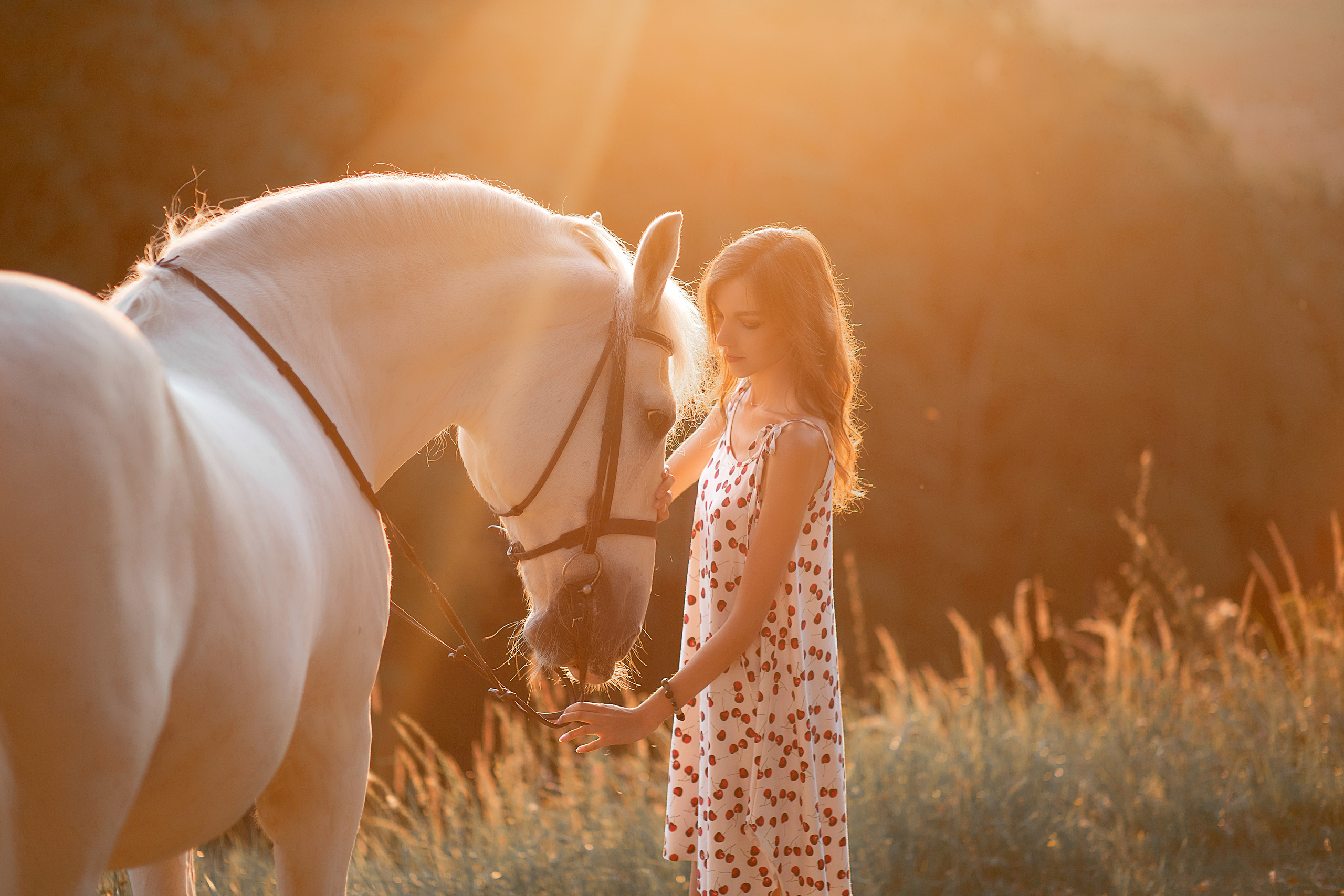 Светлана и Воробей 16.08.2022. Фотосессия с лошадьми в Нижнем Новгороде