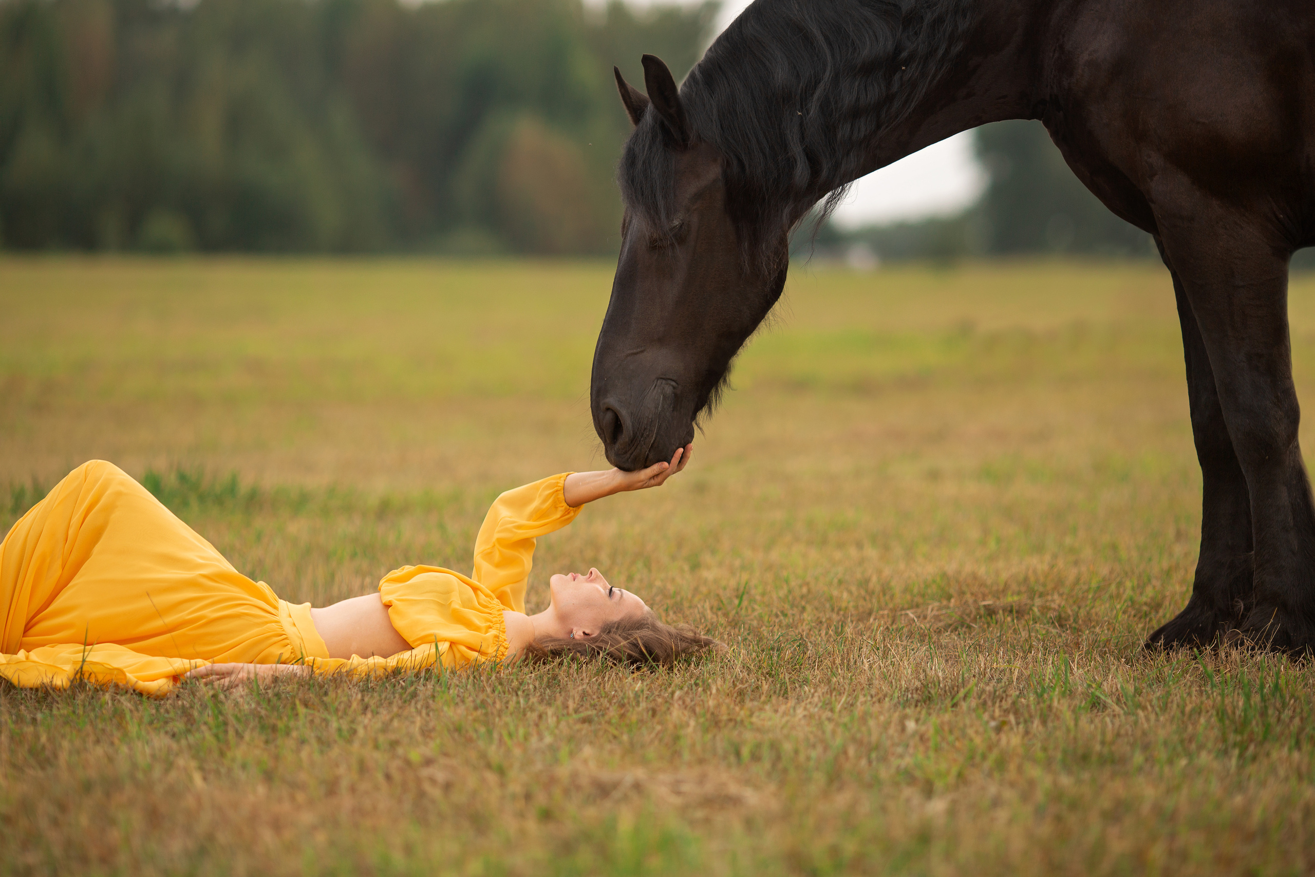 Надежда и Ферзь (КСК «Курцево»). Фотосессия с лошадьми в Нижнем Новгороде