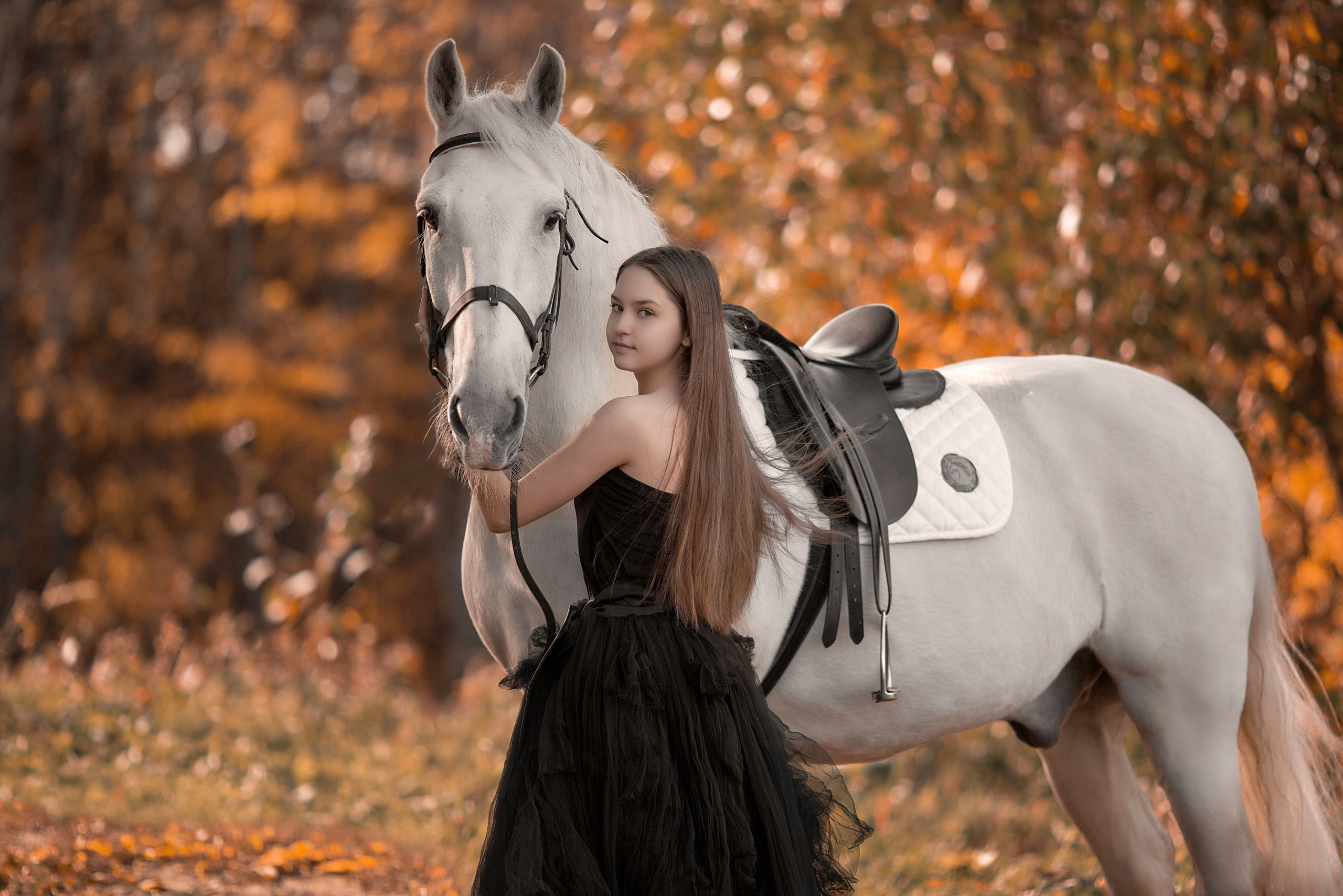 Фотосессия Алины и Воробушка. Фотосессия с лошадьми в Нижнем Новгороде
