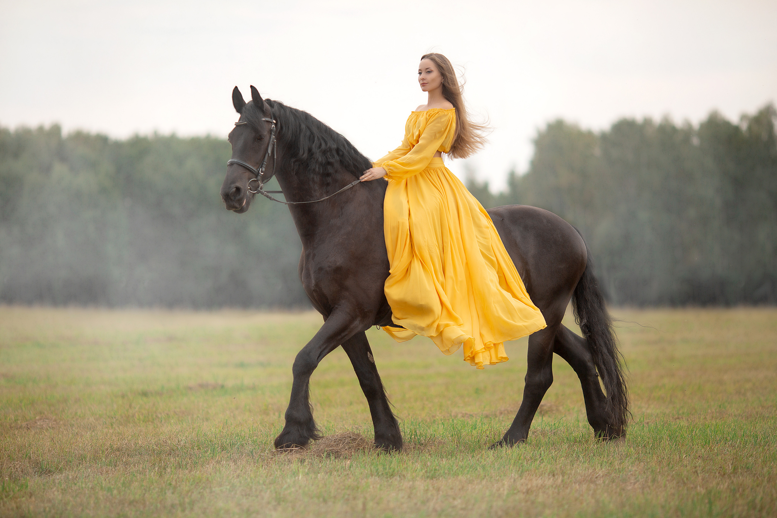 Надежда и Ферзь (КСК «Курцево»). Фотосессия с лошадьми в Нижнем Новгороде