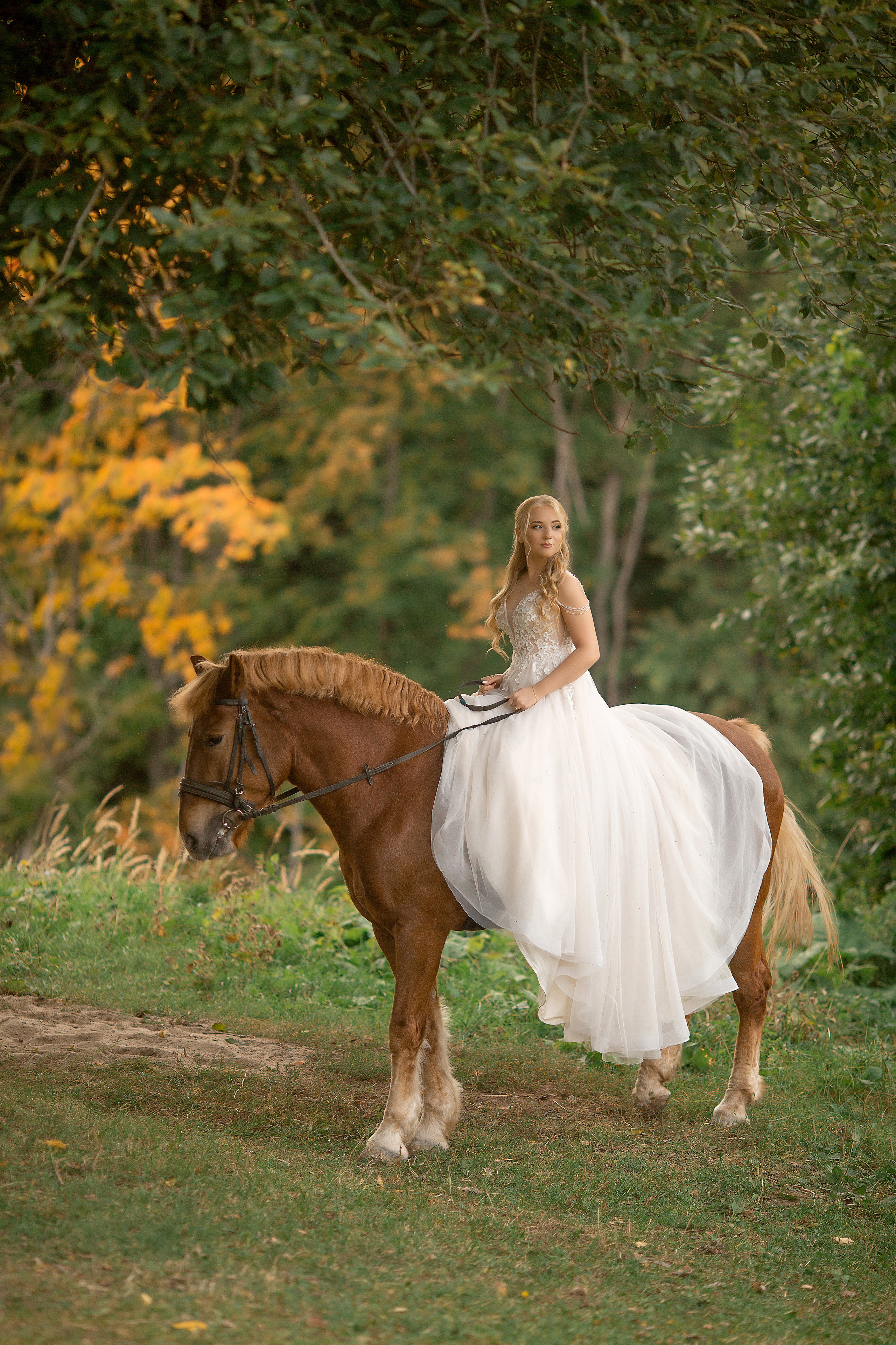 Фотосессия Любы и Дениса с Радугой. Фотосессия с лошадьми в Нижнем Новгороде