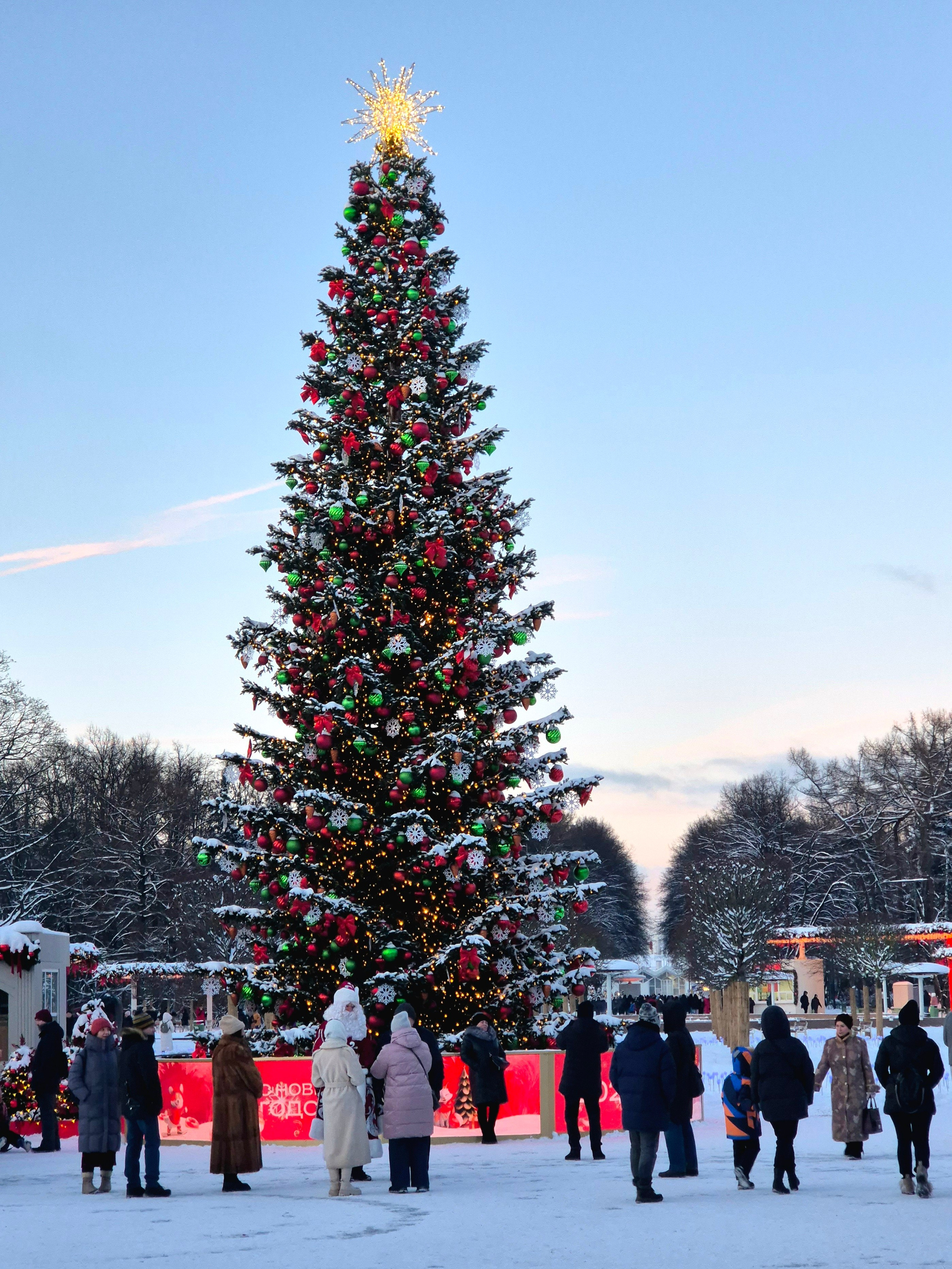 Первого января непривычно дома. Улетаем только 2-го. Прогулялись в Сокольниках