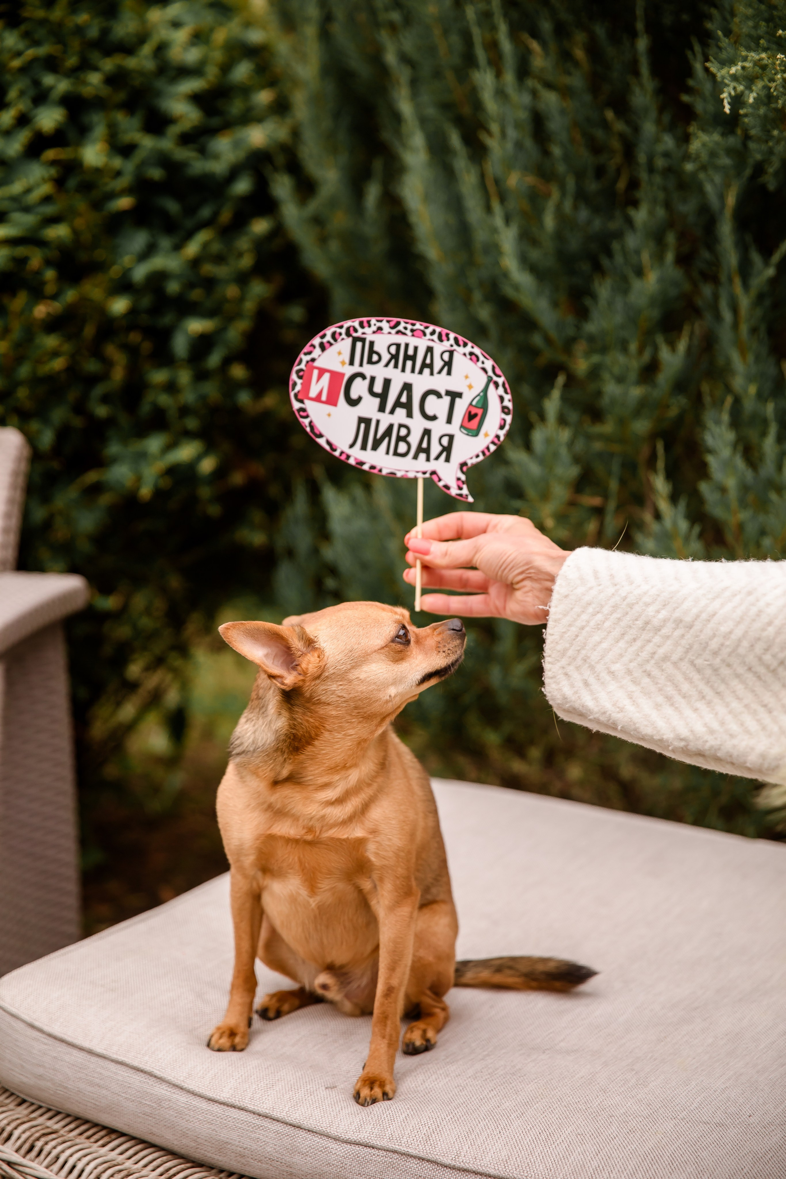 Мероприятия. Семейный и детский фотограф в Москве и на Новой Риге Светлана Демина