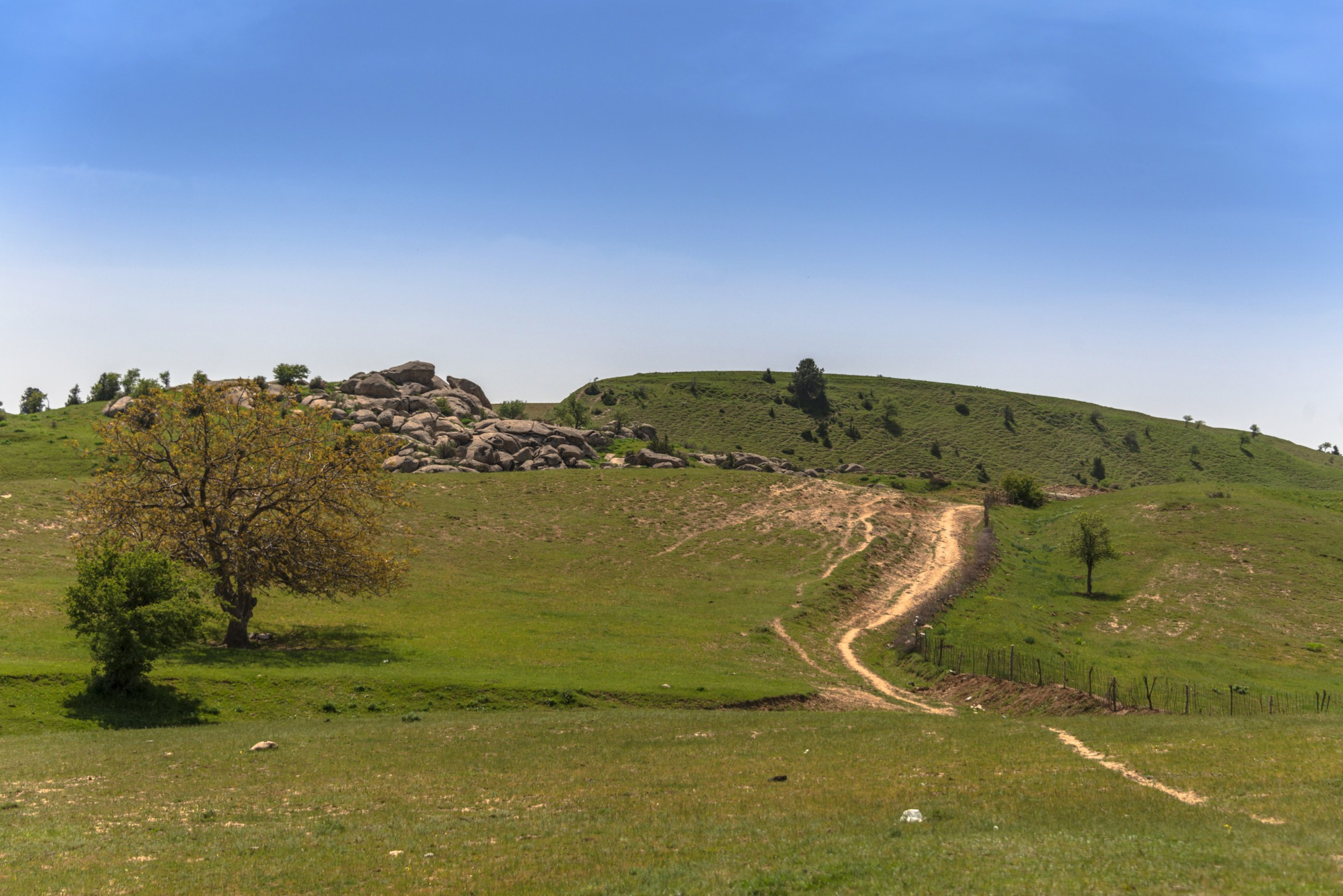 Шахрисабз. Фотограф Лара Кучина