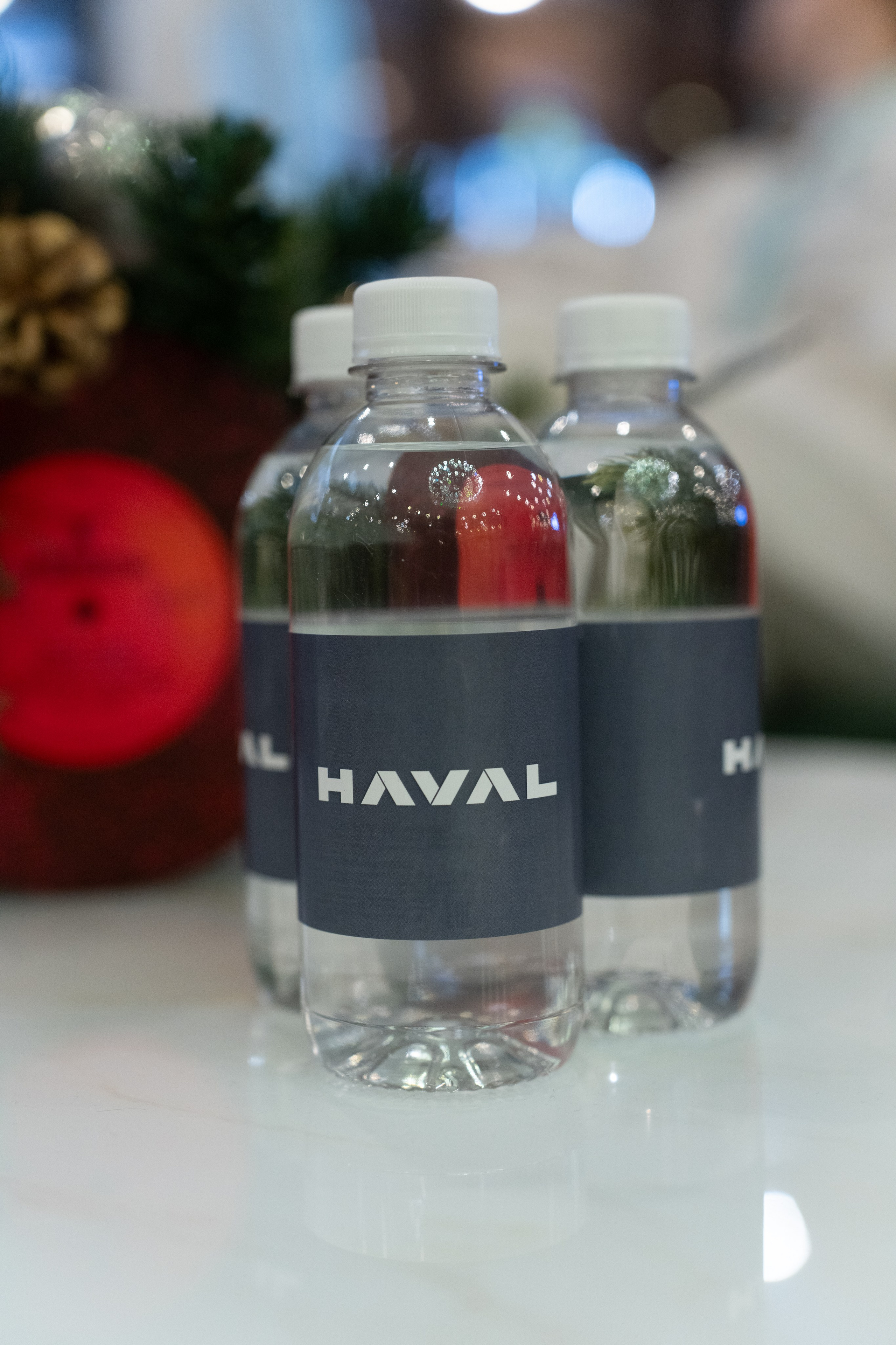 HAVAL Family Day Moscow. Безрукова Юлия Art | EVENT Фотограф Москва