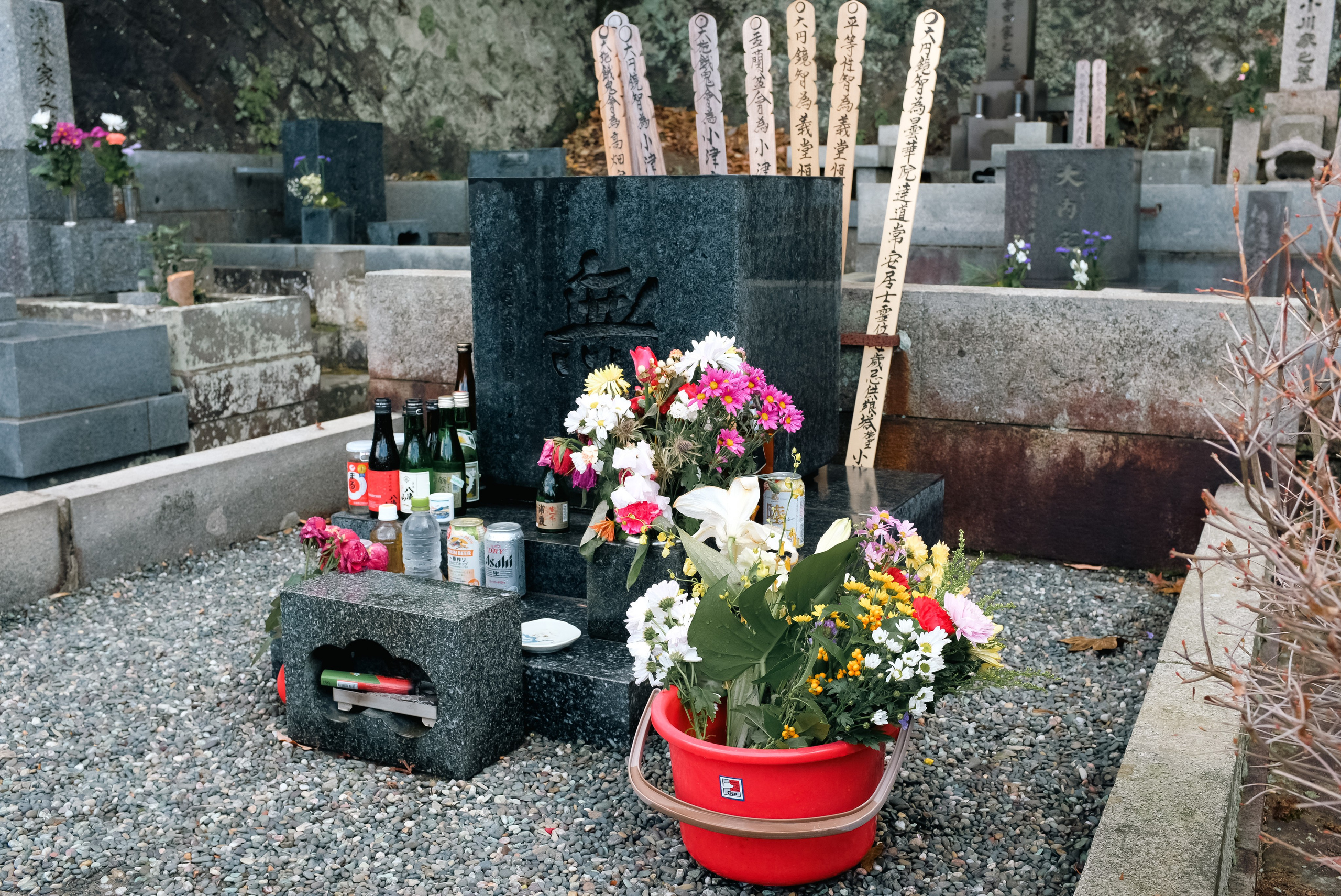 Kamakura. Regina Platonova