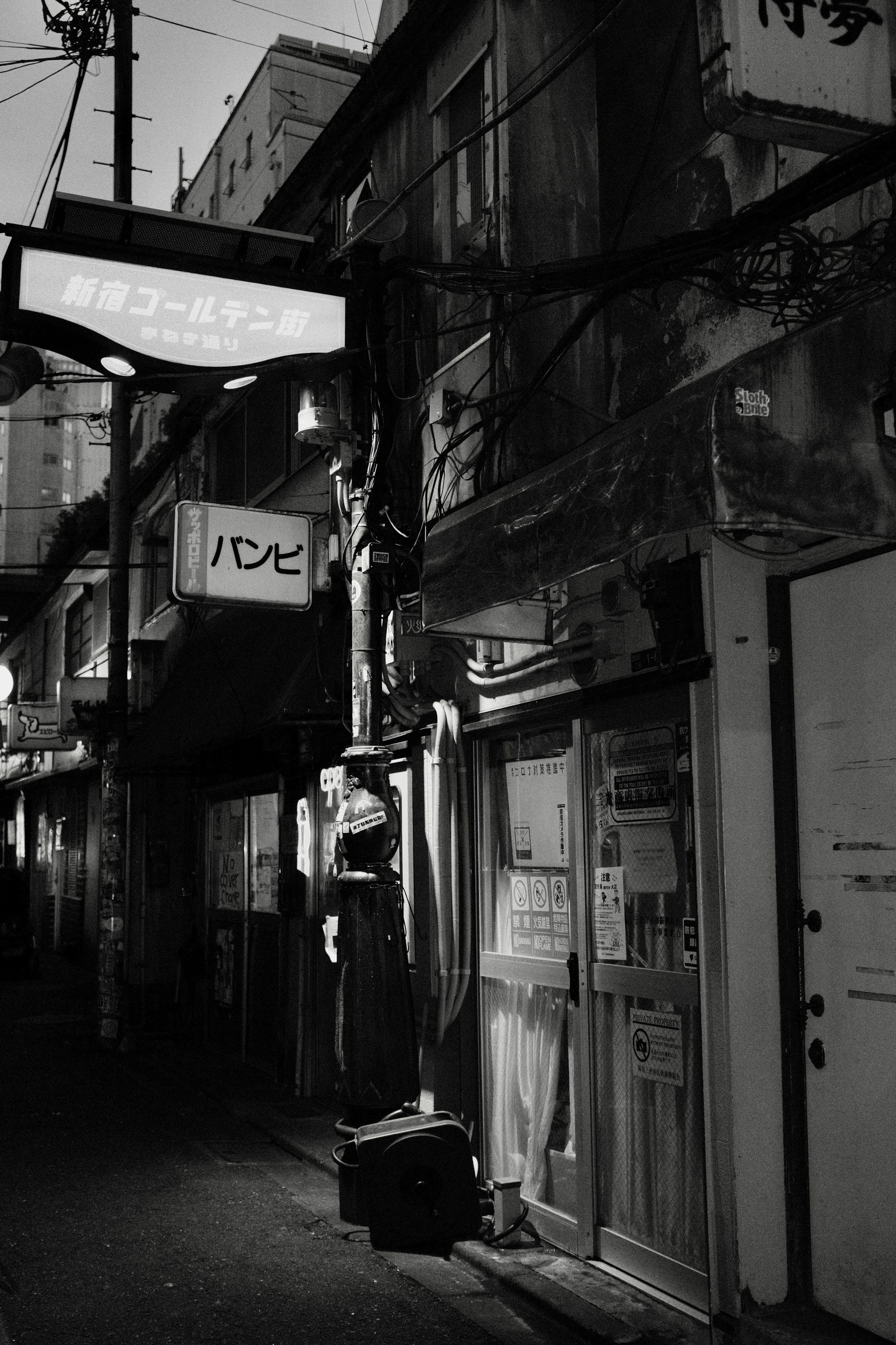 Faces of Tokyo. Regina Platonova