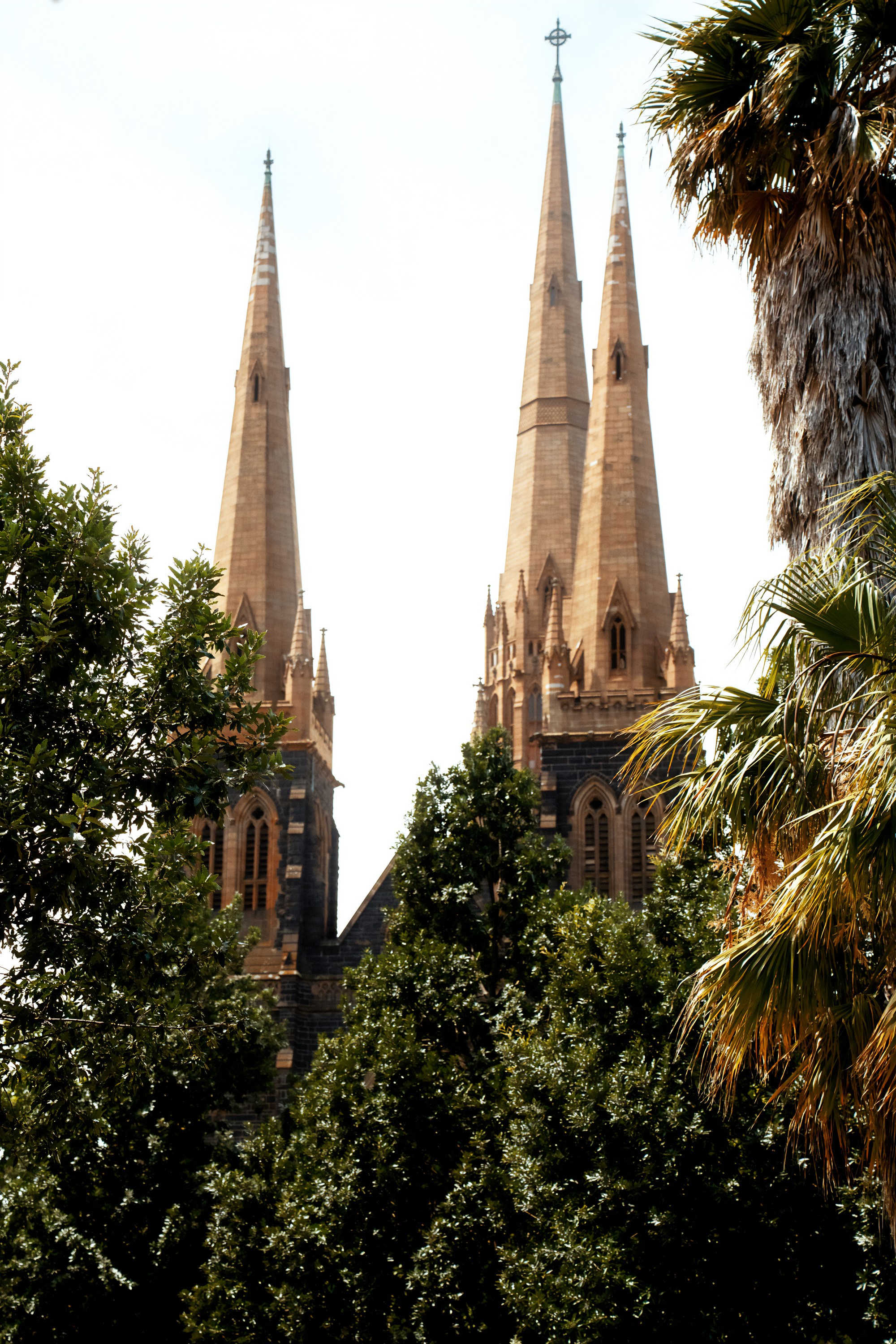 Портфолио. Фотограф в Хабаровске. Фотография за 24 часа