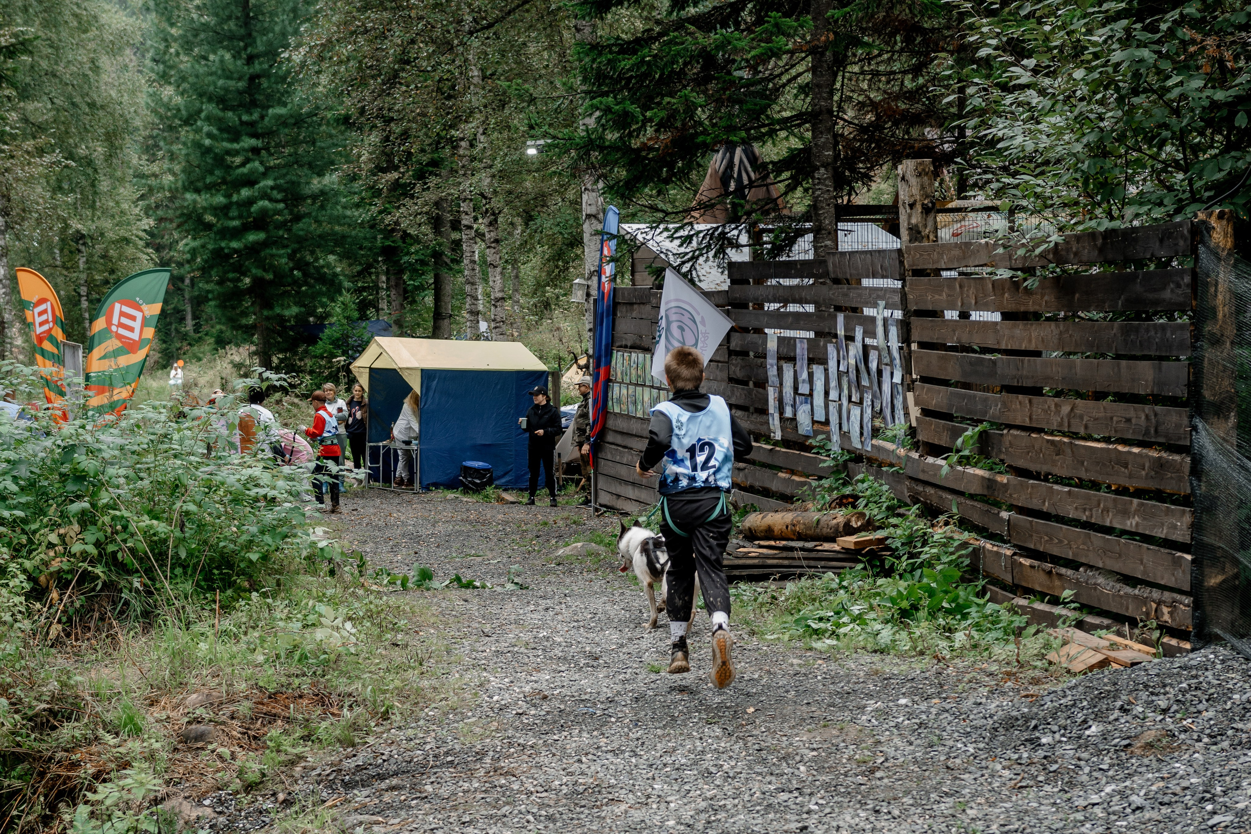 Дог-треккинг