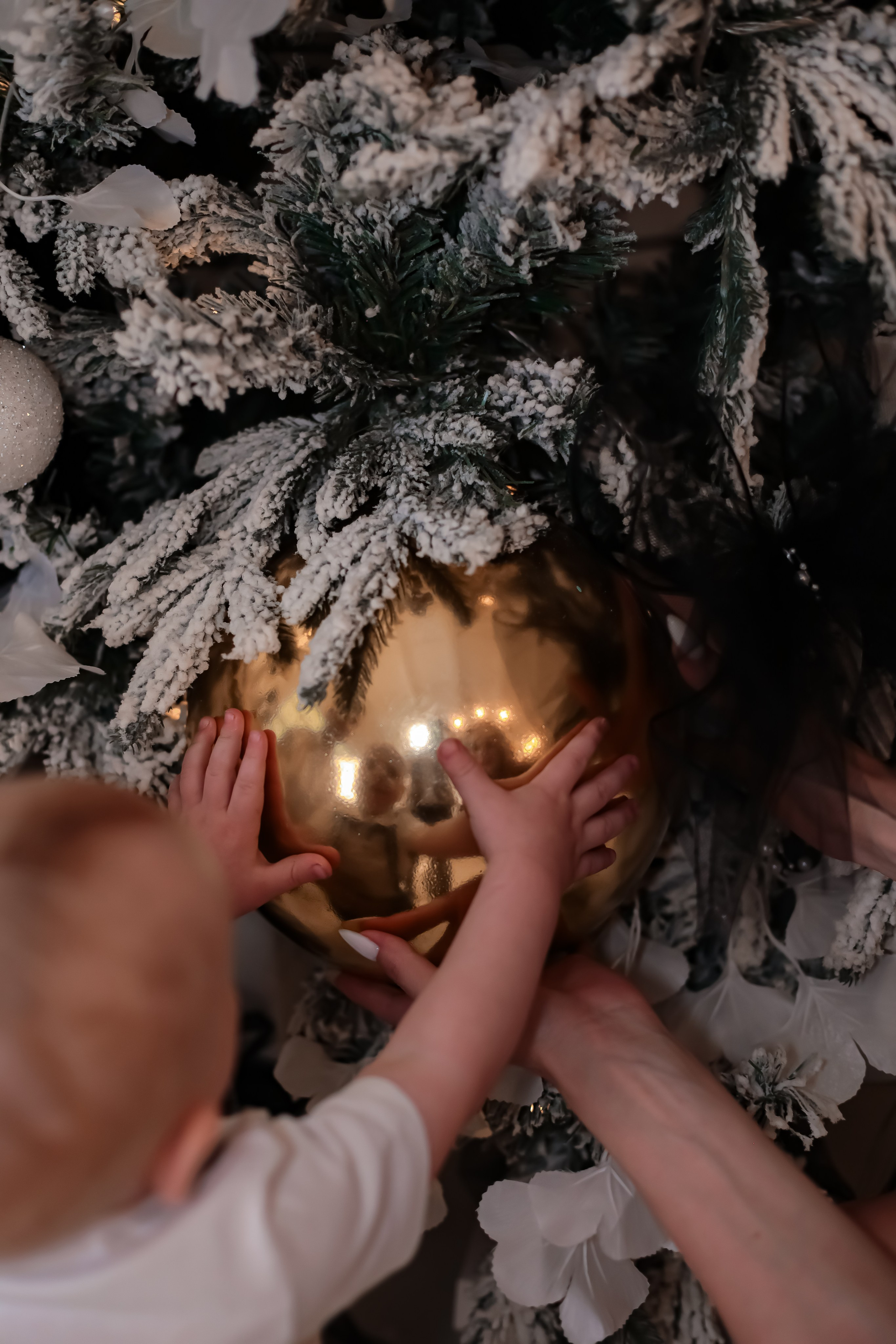 НОВОГОДНИЕ ФОТОСЕССИИ. Фотограф г. Хабаровск. Семейные и индивидуальные съёмки