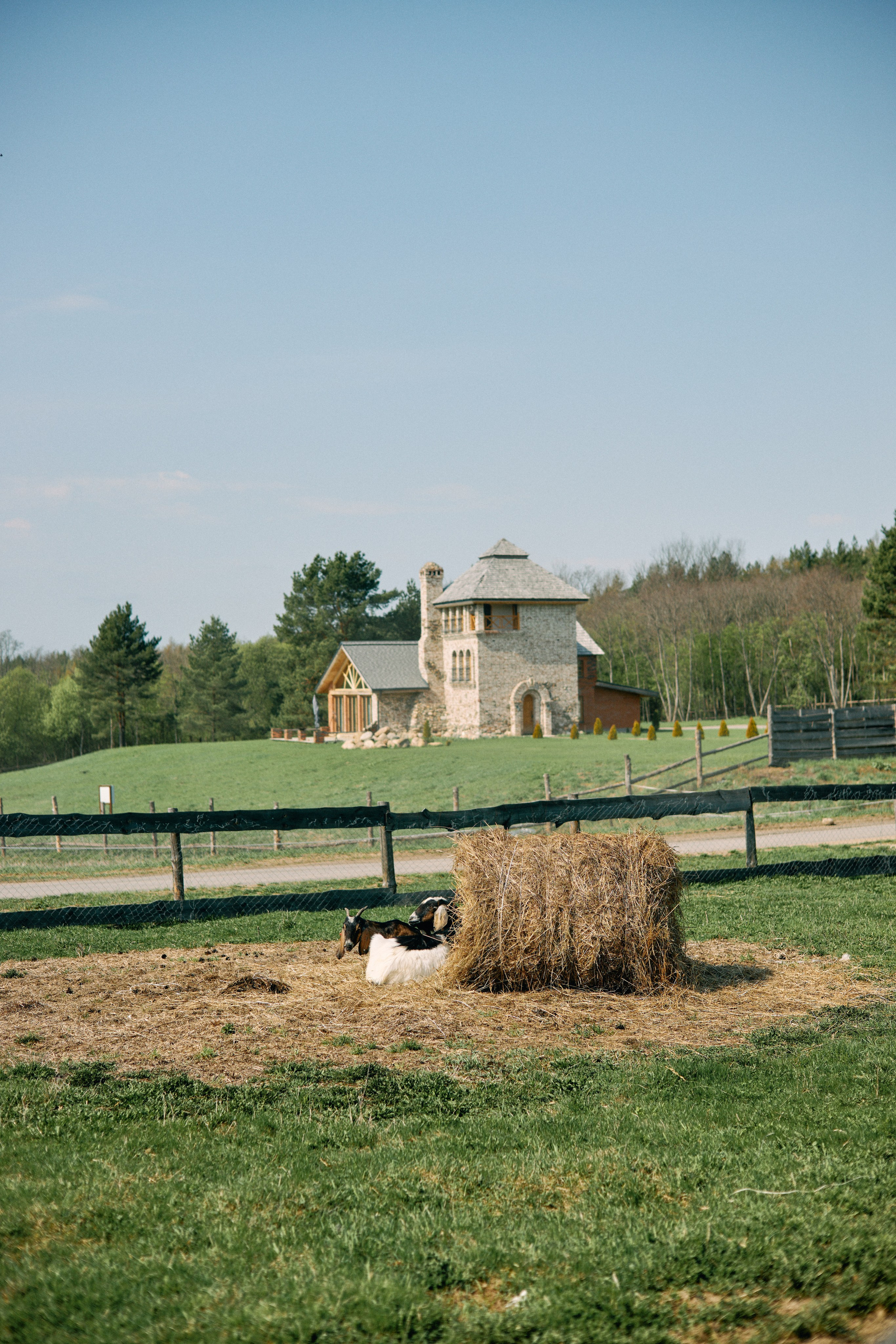 Бутик-отель Поле летом. Профессиональный Фотограф во Владимире, в Москве и в Суздале — Полина Романычева