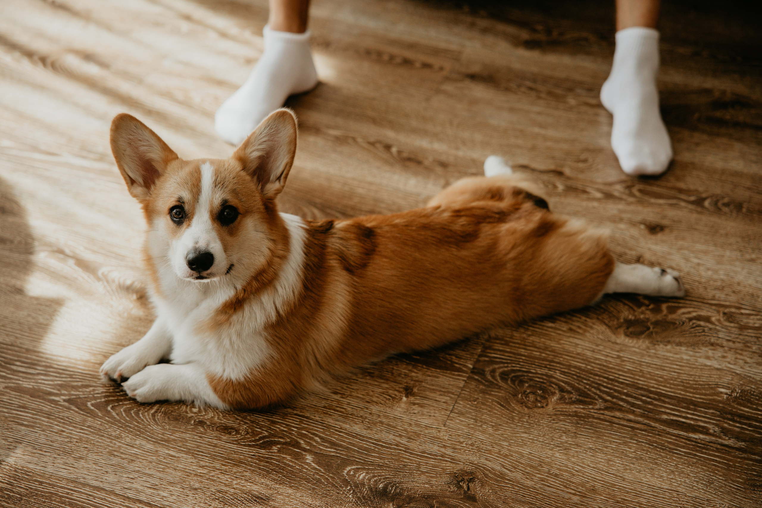 Свадебная серия. Свадебный фотограф в Иваново Гитарина Черняева