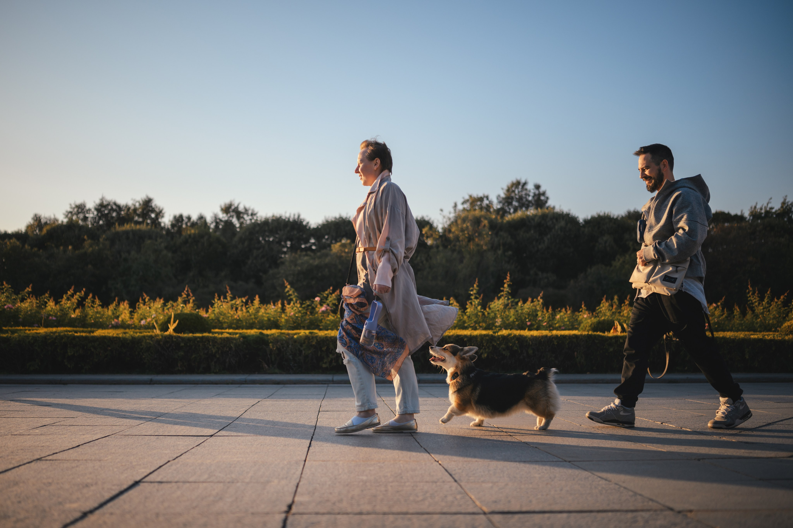 Ева, Леша и Лаванда. Фотограф Анималист в Москве Анастасия Жучкова