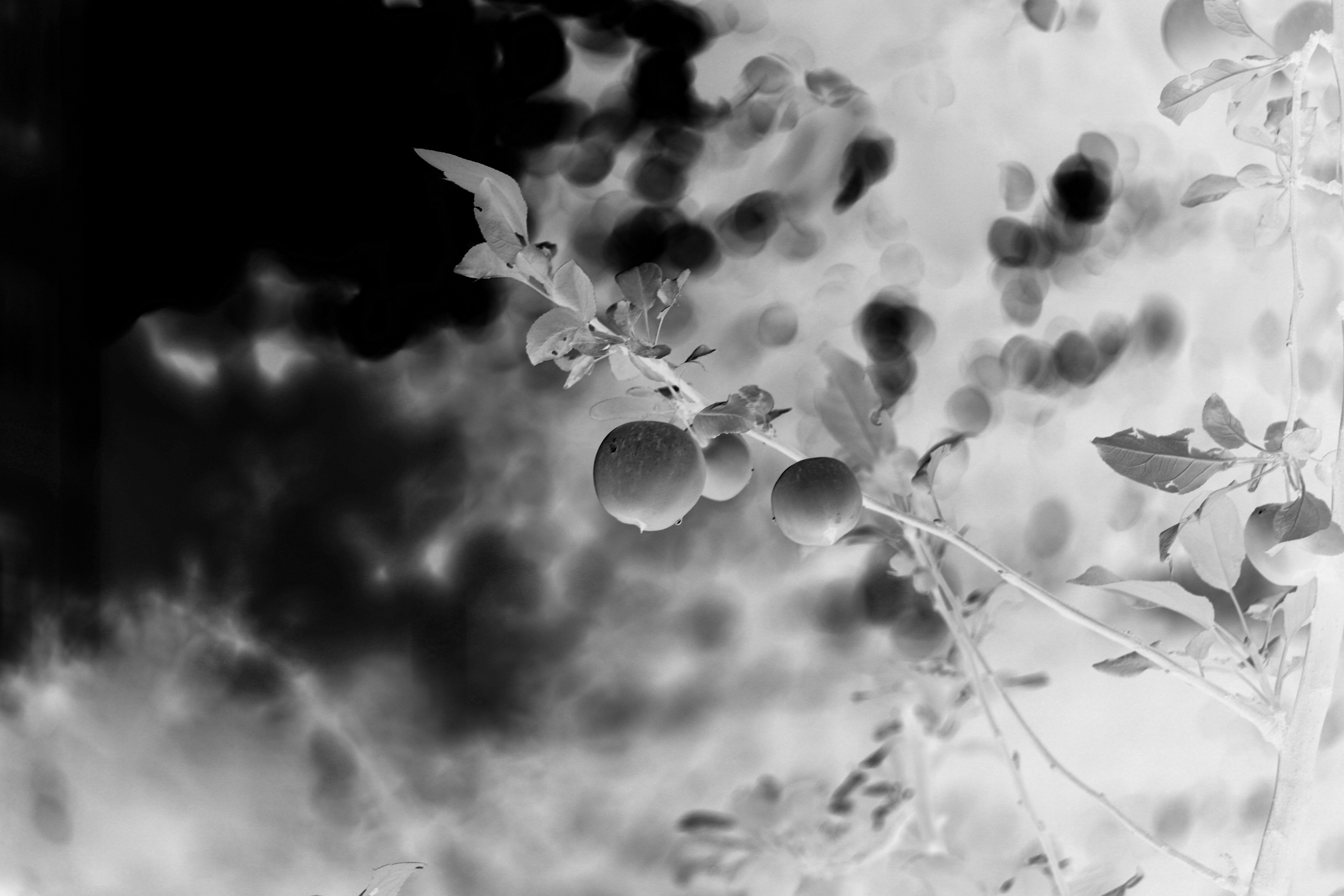 Наталья Алаторцева